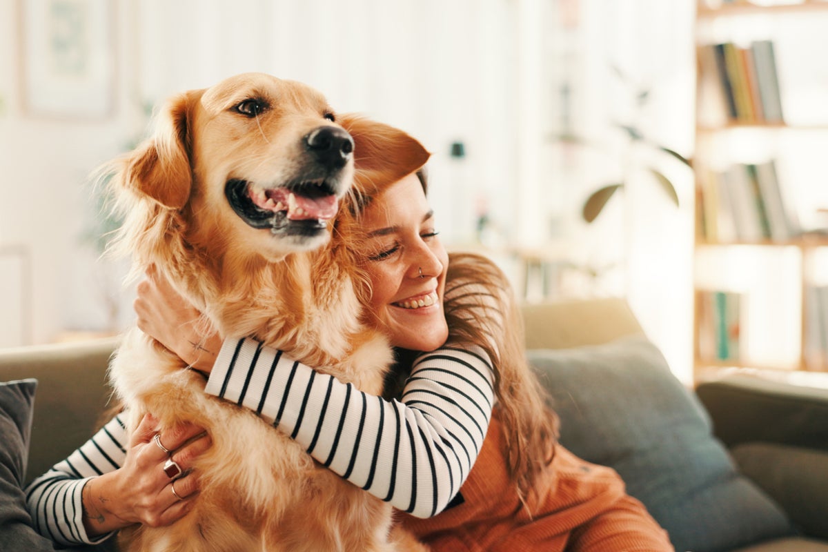 Is your dog happy? A veterinarian explains ten common misconceptions about their behavior Is your dog happy? A veterinarian explains ten common misconceptions about their behavior
