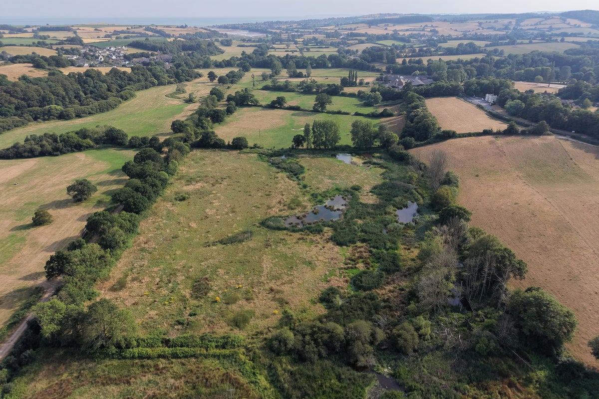 Photo: independent.co.uk Beaver Dams Boost Drought Resilience in England