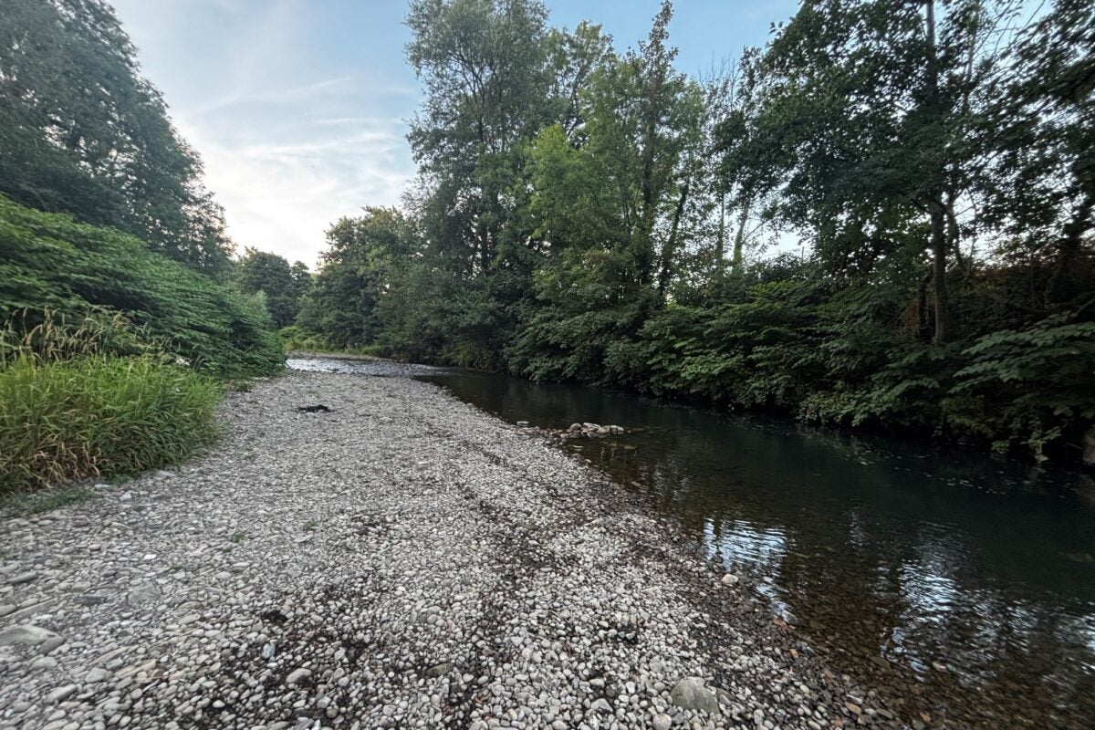 A large part of the River Ebbw’s riverbed has been exposed by the drought (Natural Resources Wales)