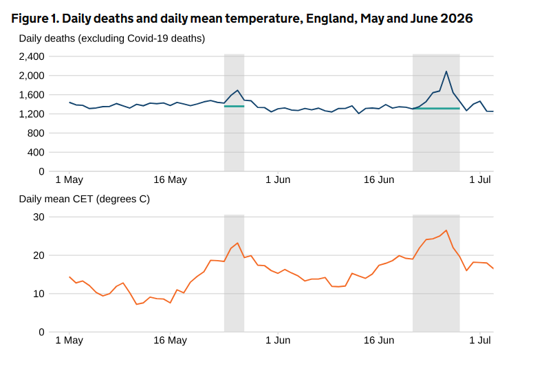 UKHSA charts suggest higher death rates coincided with temperature spikes (UKHSA / gov.uk)