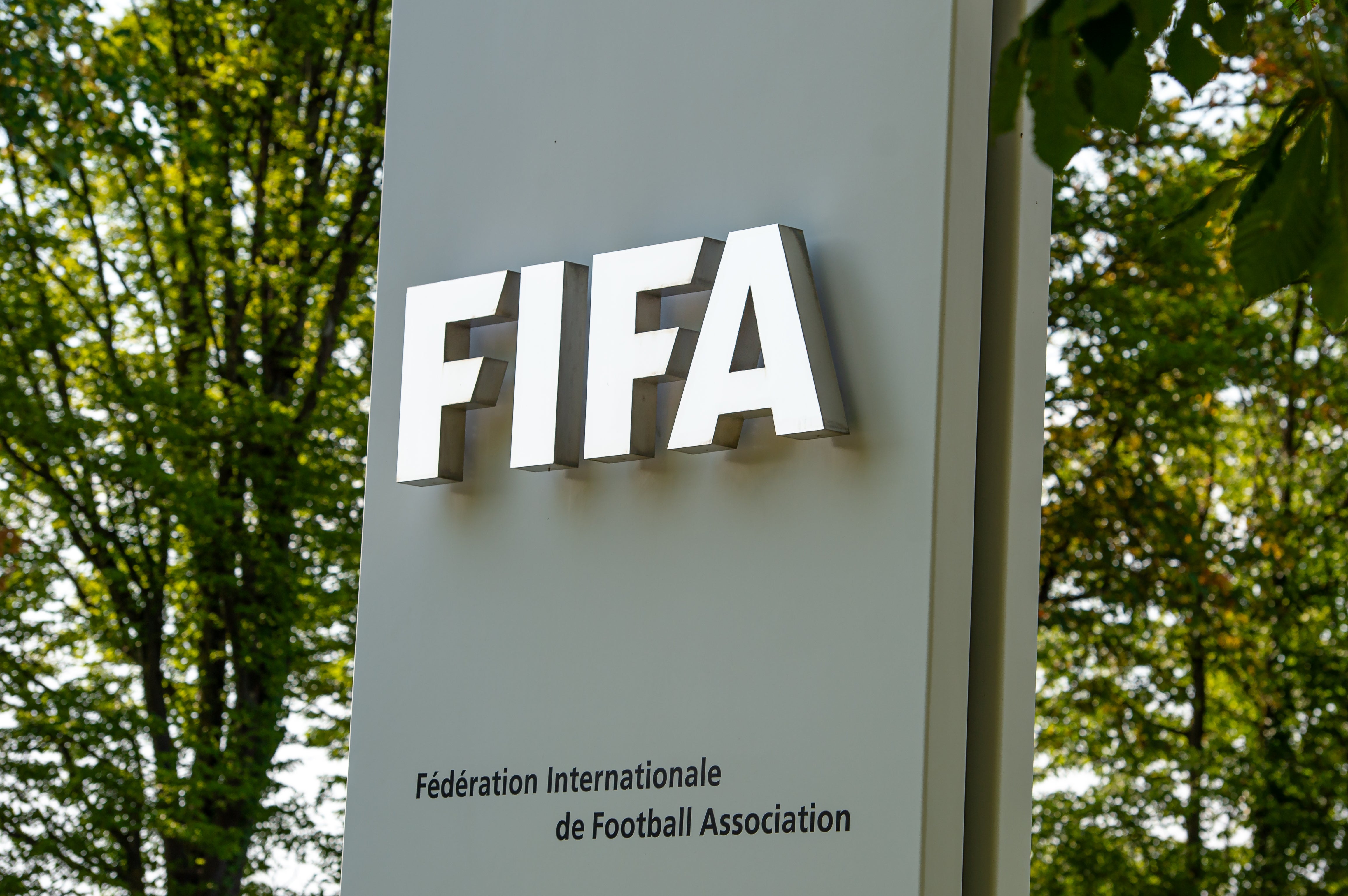 Fifa appears to be facing turmoil