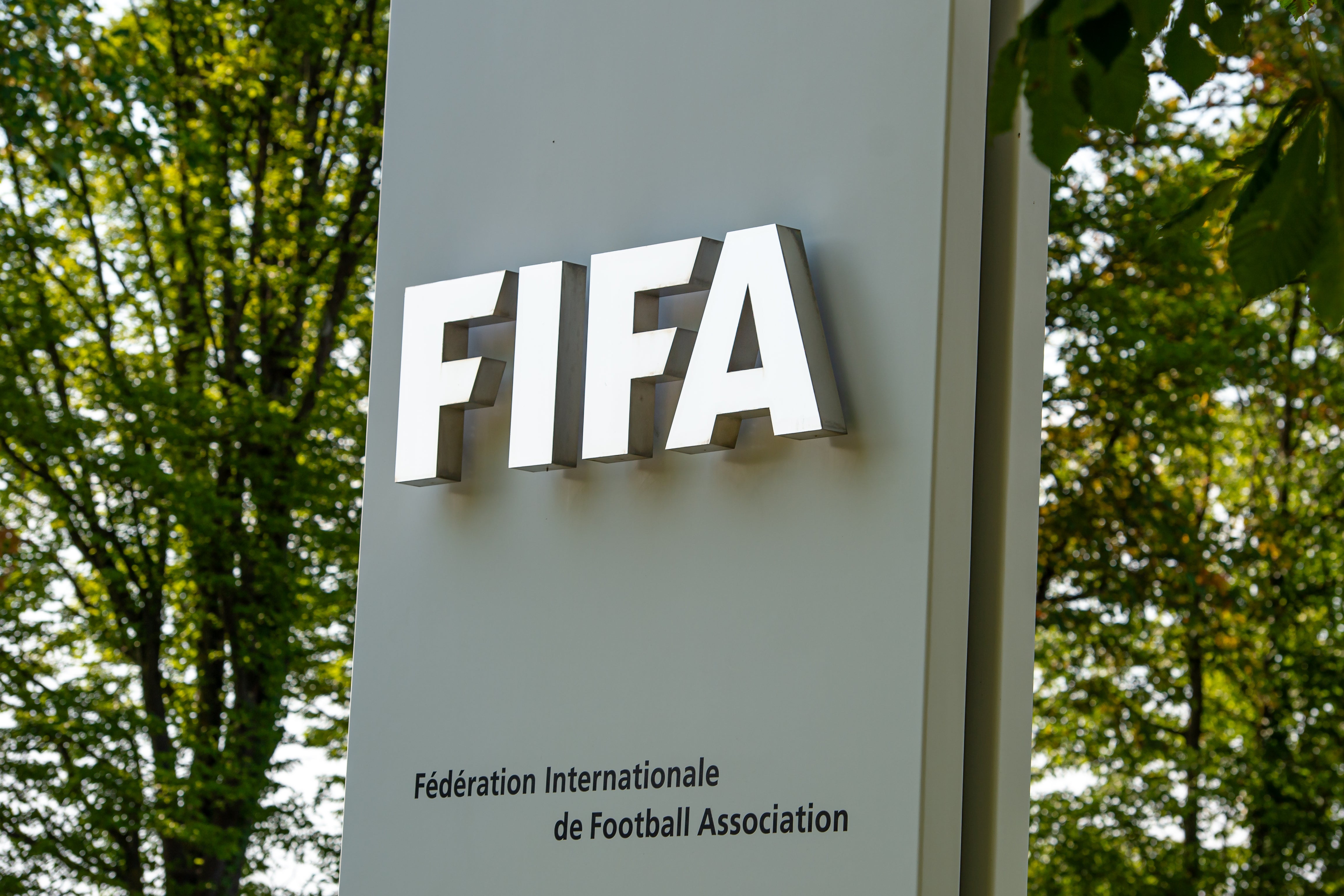Fifa appears to be facing turmoil (Getty)