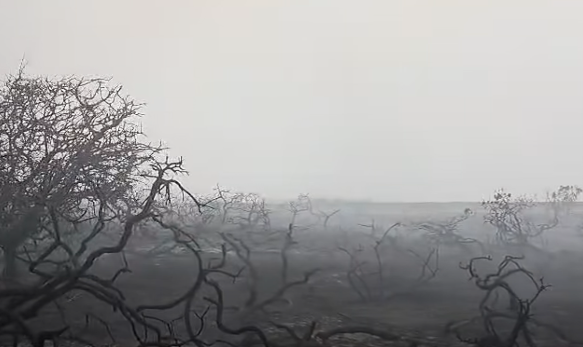 Suffolk wildfire aftermath captured as blaze continues to spread