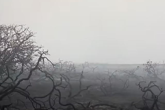 Suffolk wildfire aftermath captured as blaze continues to spread