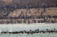 Spain will send troops to Ceuta after thousands of migrants arrive from sea