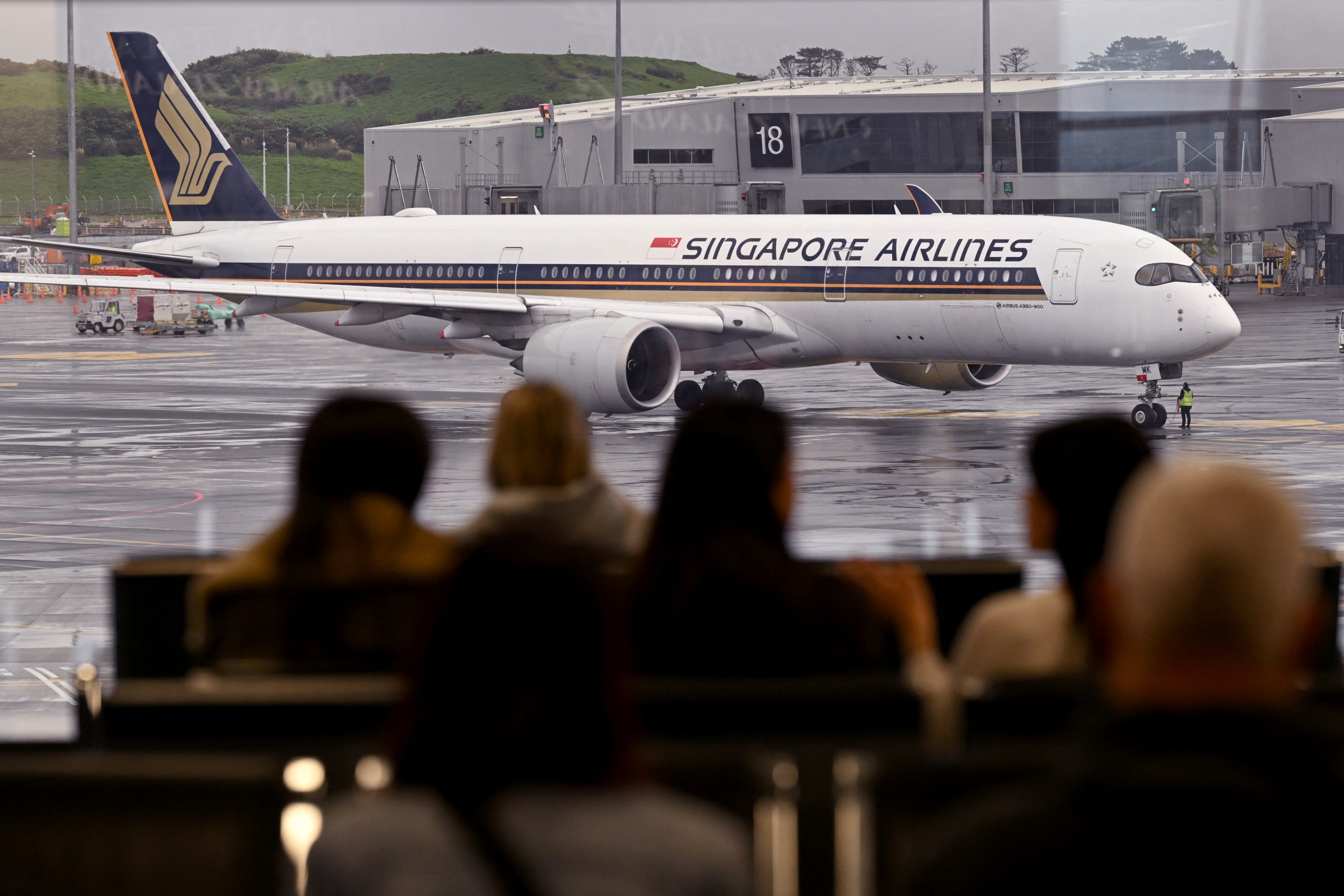 Briohny Smyth is suing Singapore Airlines after a shard of a chicken satay skewer she was eating broke off in her mouth and lodged in her throat, damaging her vocal cords