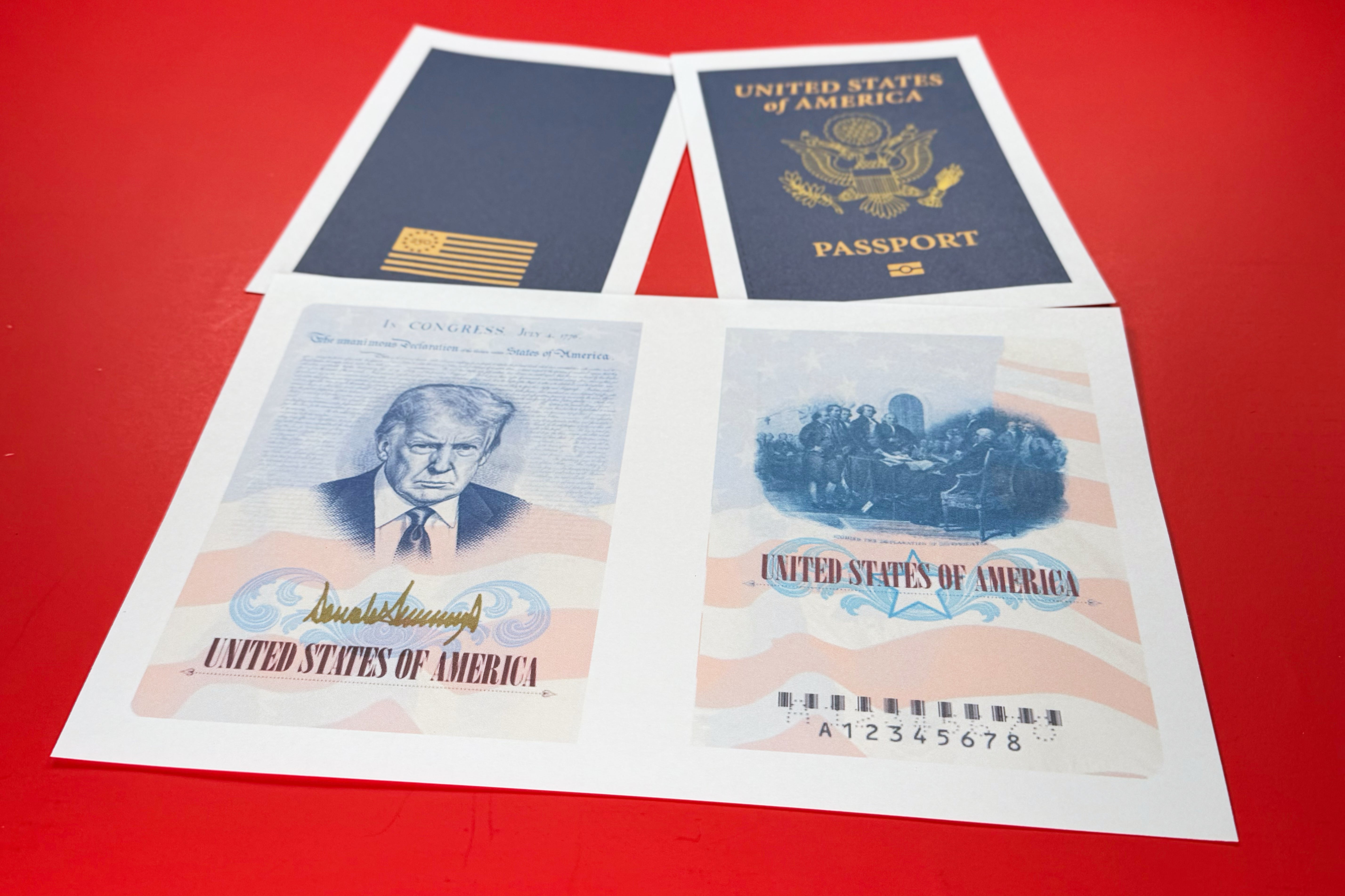 The passports are the latest instance of Trump having his name and likeness added to buildings, documents and other highly visible tributes.