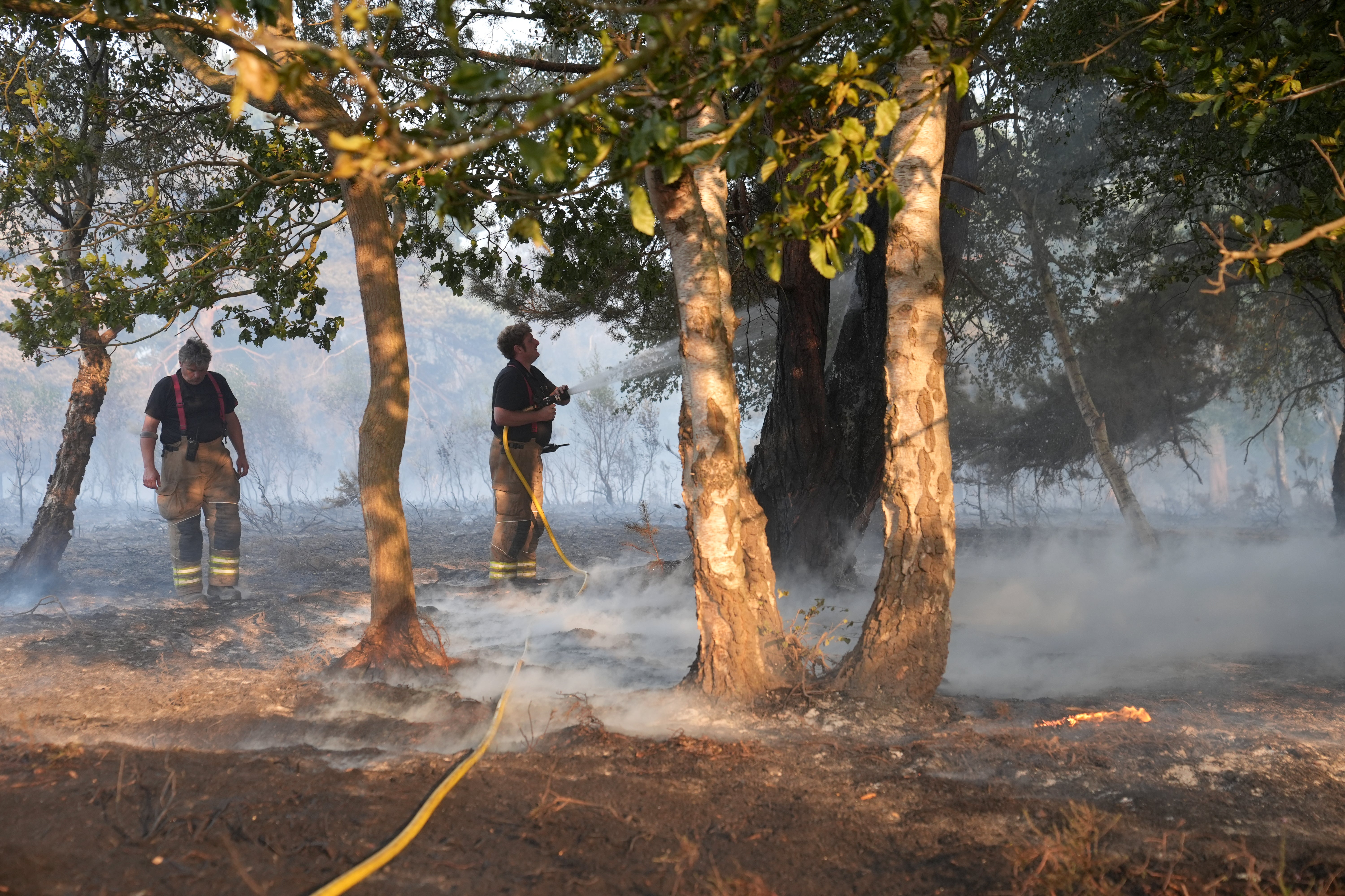 Firefighters tackle a wildfire at Dunwich Heath, near Leiston (Joe Giddens/PA) (PA Wire)