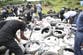 Authorities burn cocaine worth $336 million in country’s largest drug bust