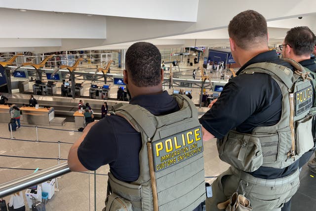 US citizen faces felony charge for allegedly giving customs agents a ...