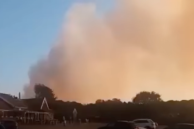 Major incident declared as firefighters battle large heathland blaze