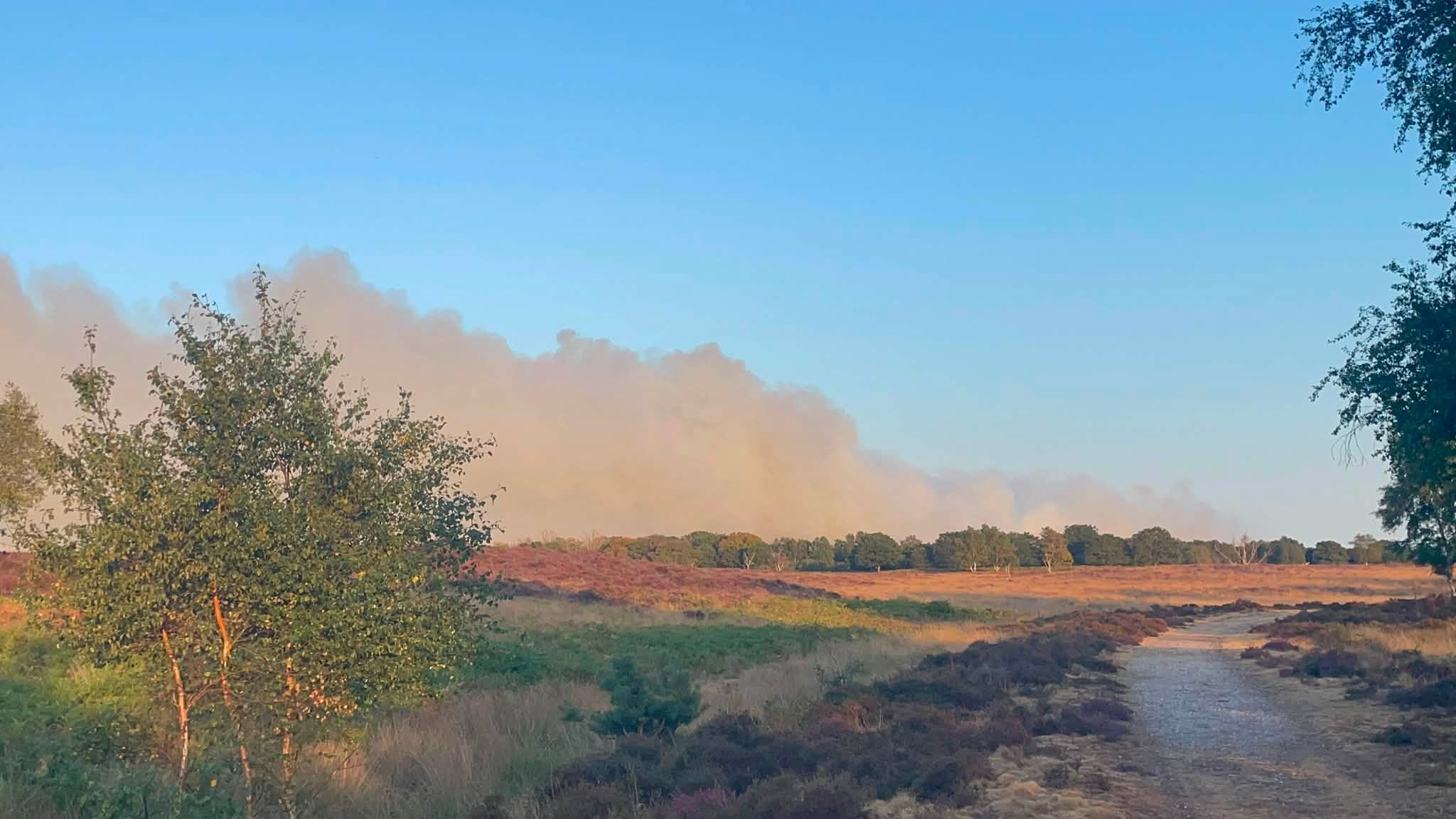 Fire crews prepared to evacuate 200 caravans