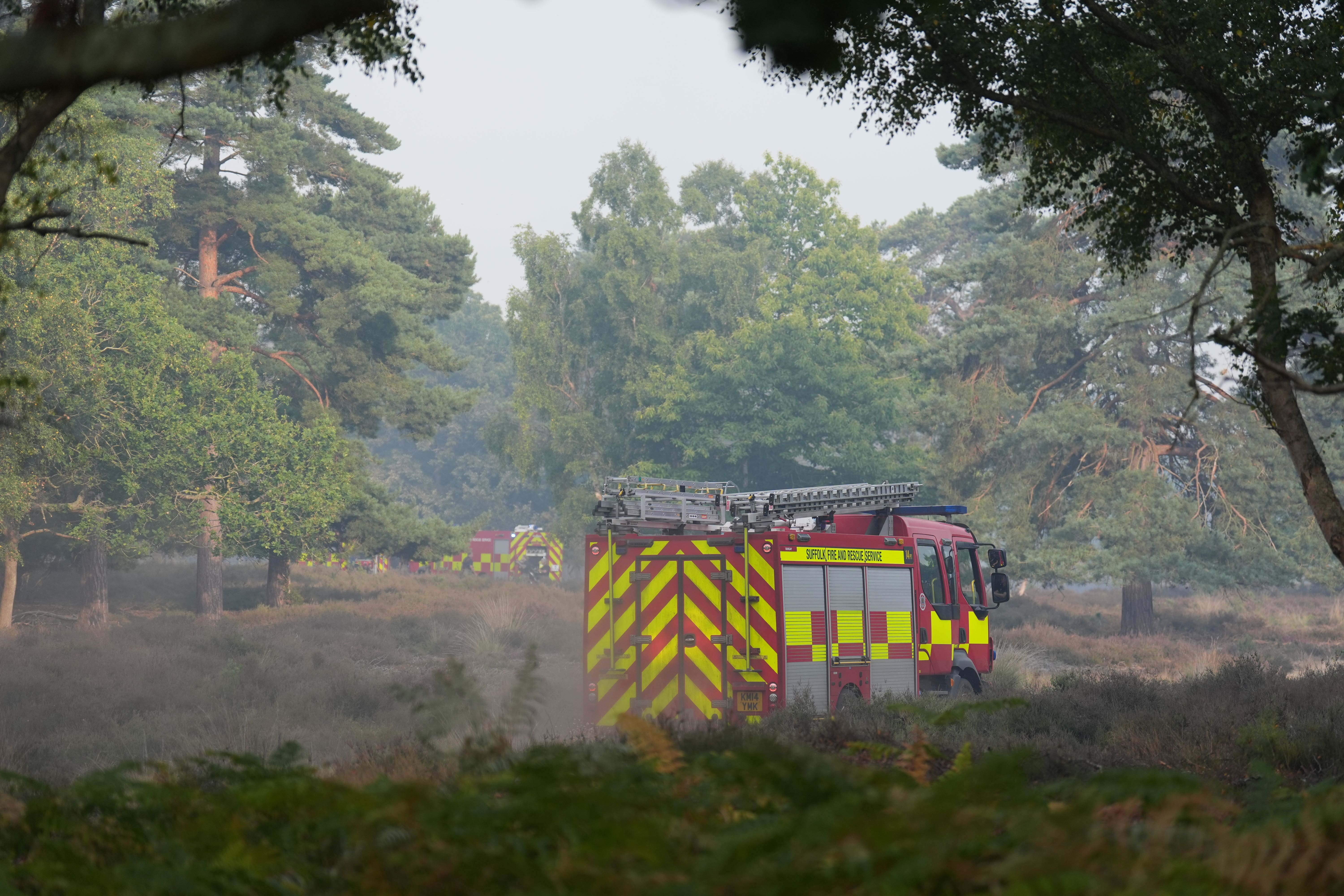 Firefighters battle large wildfire at Dunwich Heath in Suffolk; blaze stabilizing as area affected grows to 150 hectares