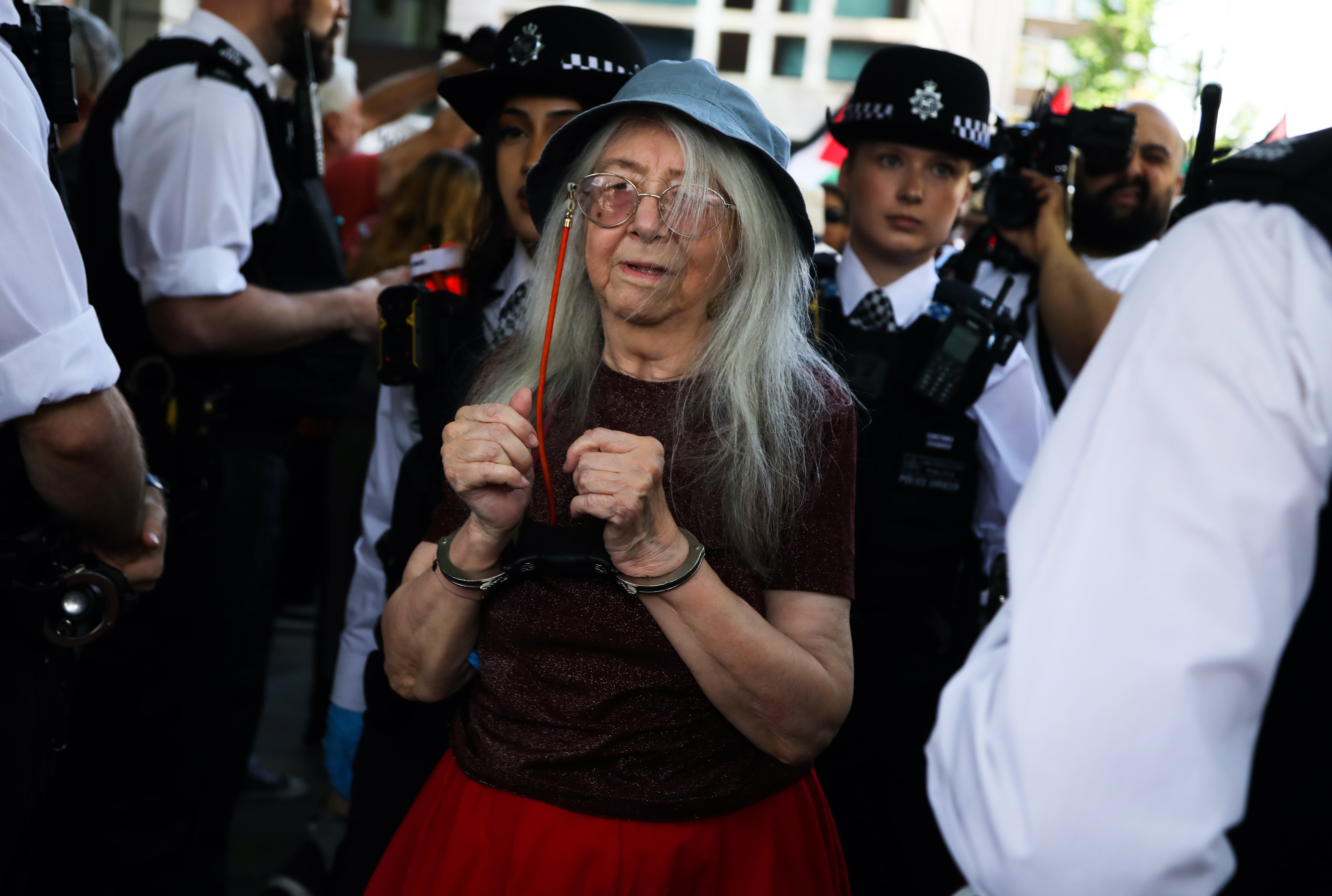 Palestine Action wins Supreme Court appeal permission as 77 arrested