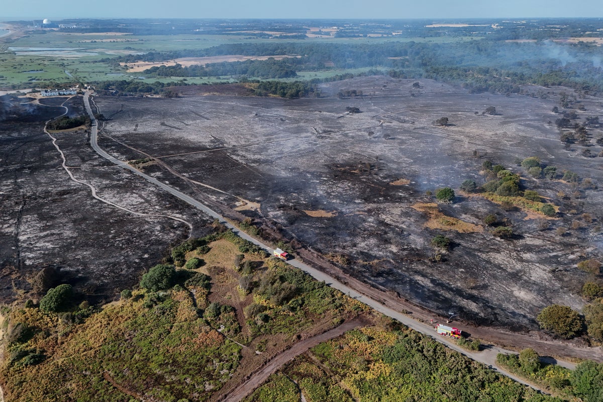 UK wildfires latest: Blaze breaks out in Essex while firefighters tackle ‘unpredictable’ flames in Suffolk