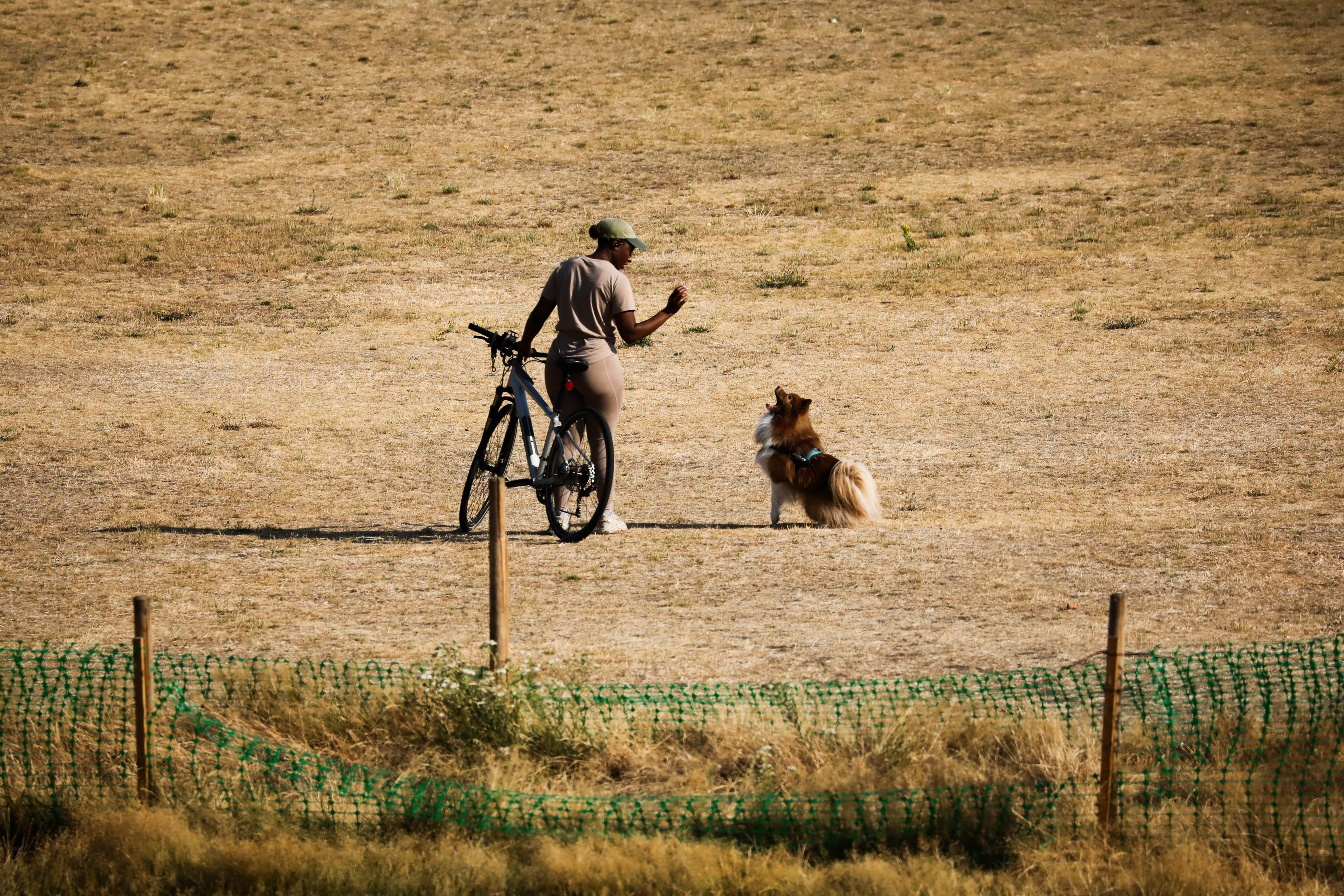 A woman and a dog walk through dry grass in Greenwich Park (Getty)