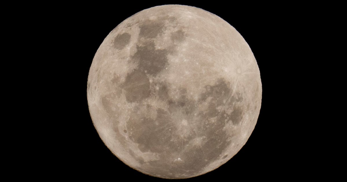 AP26210624462926.jpeg?crop=