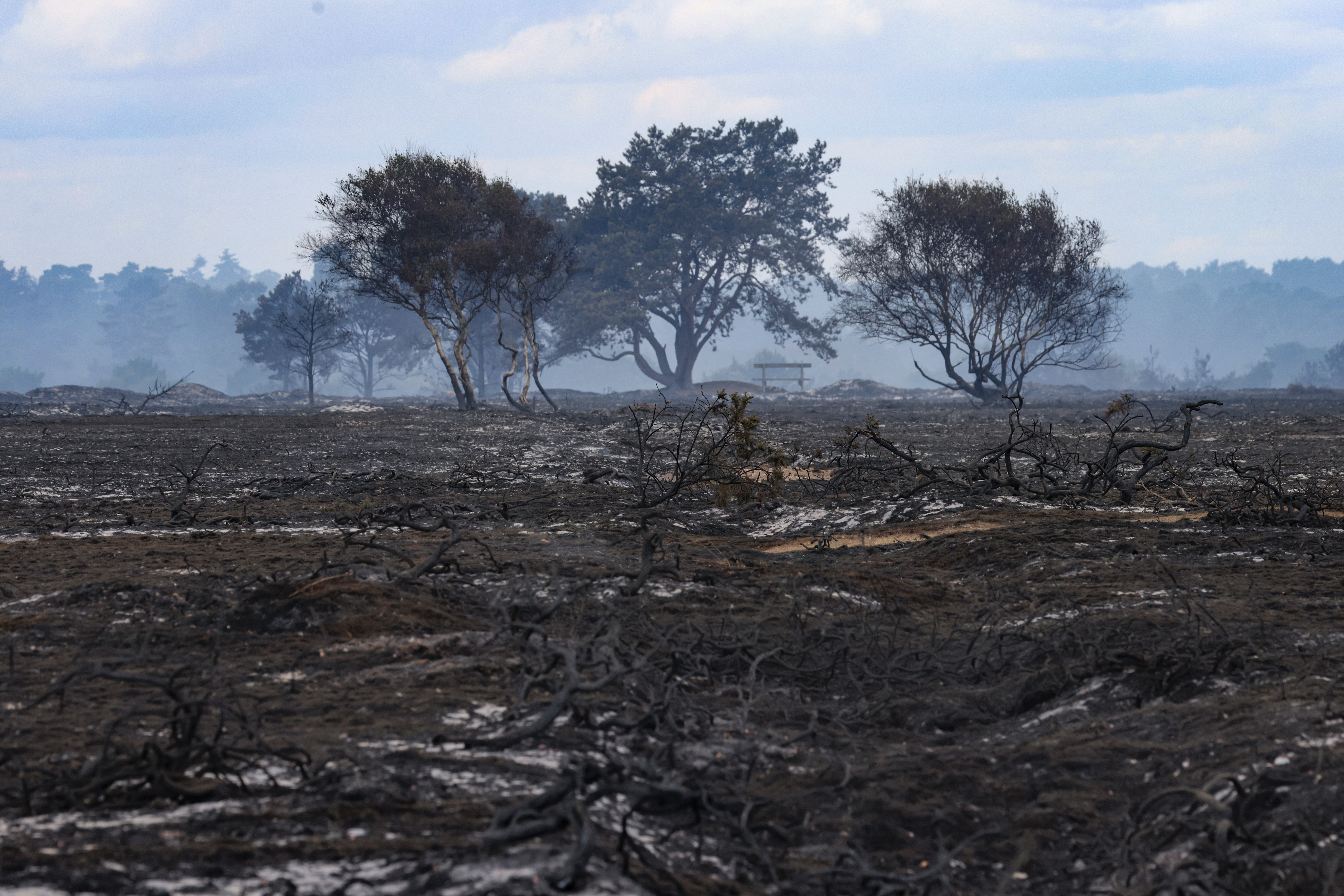 The climate emergency declaration had originally been brought into place in 2019 by the Conservative-led council (PA)
