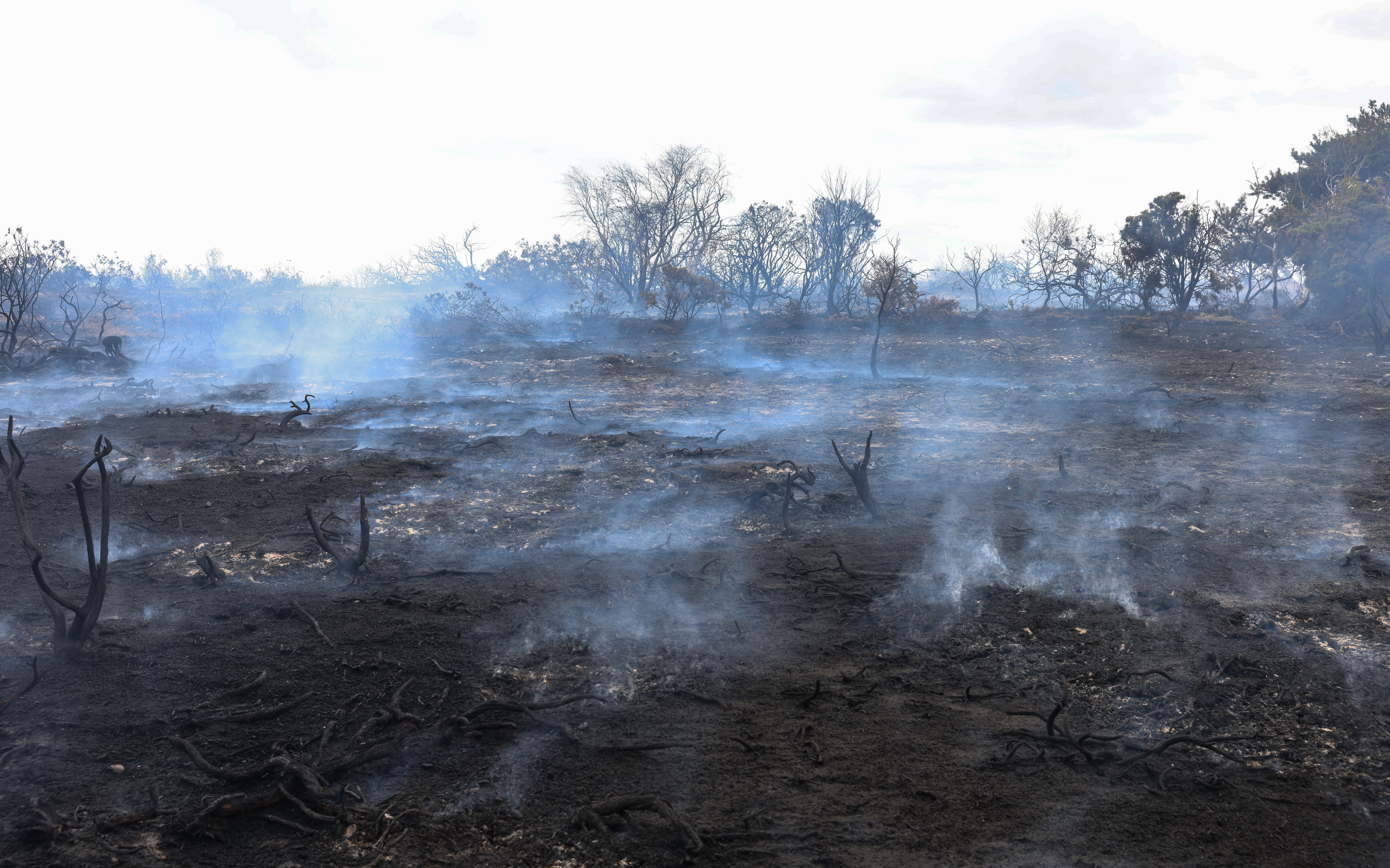 Residents described scenes of devastation (Humphrey Nemar/PA) (PA Wire)