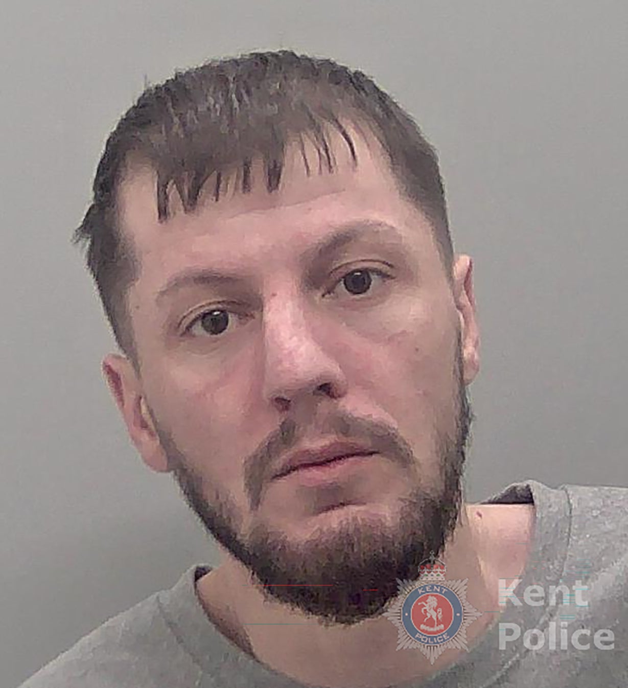 Driver hit man, 89, carried him on car roof and abandoned his body