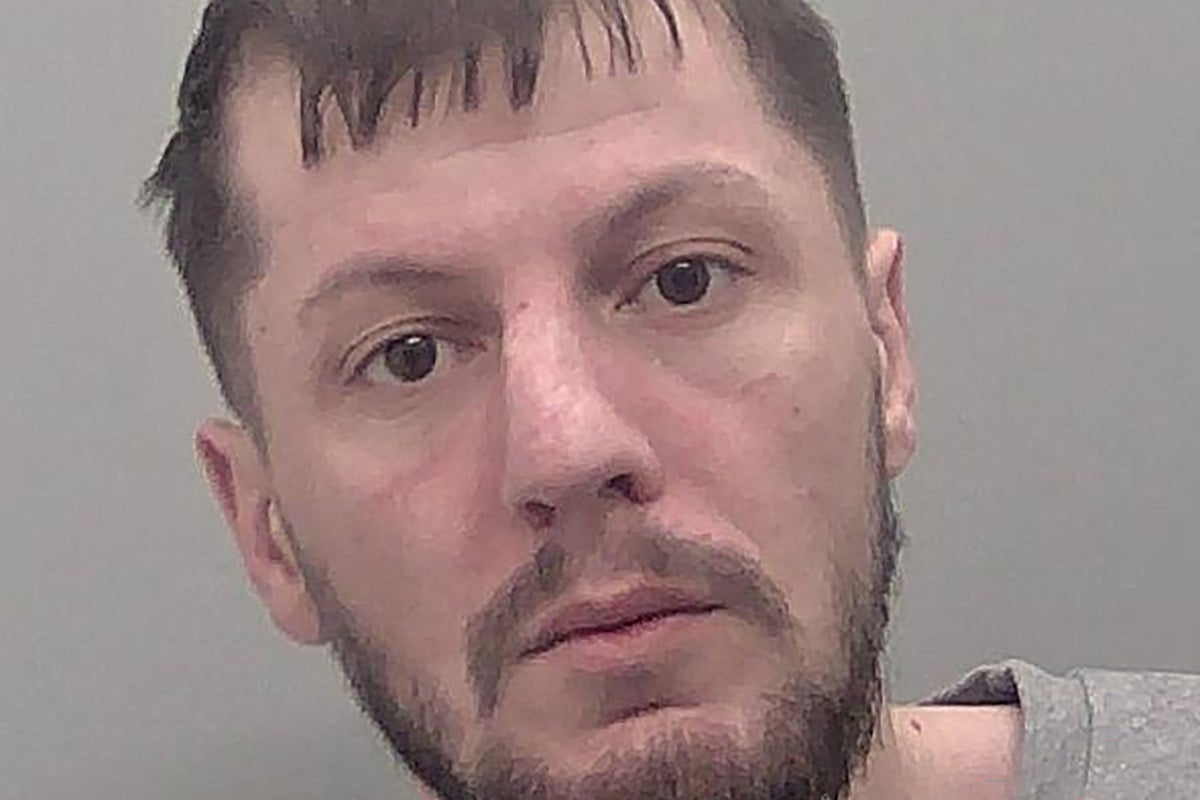 Driver sentenced to nearly 10 years for fatal hit-and-run in London