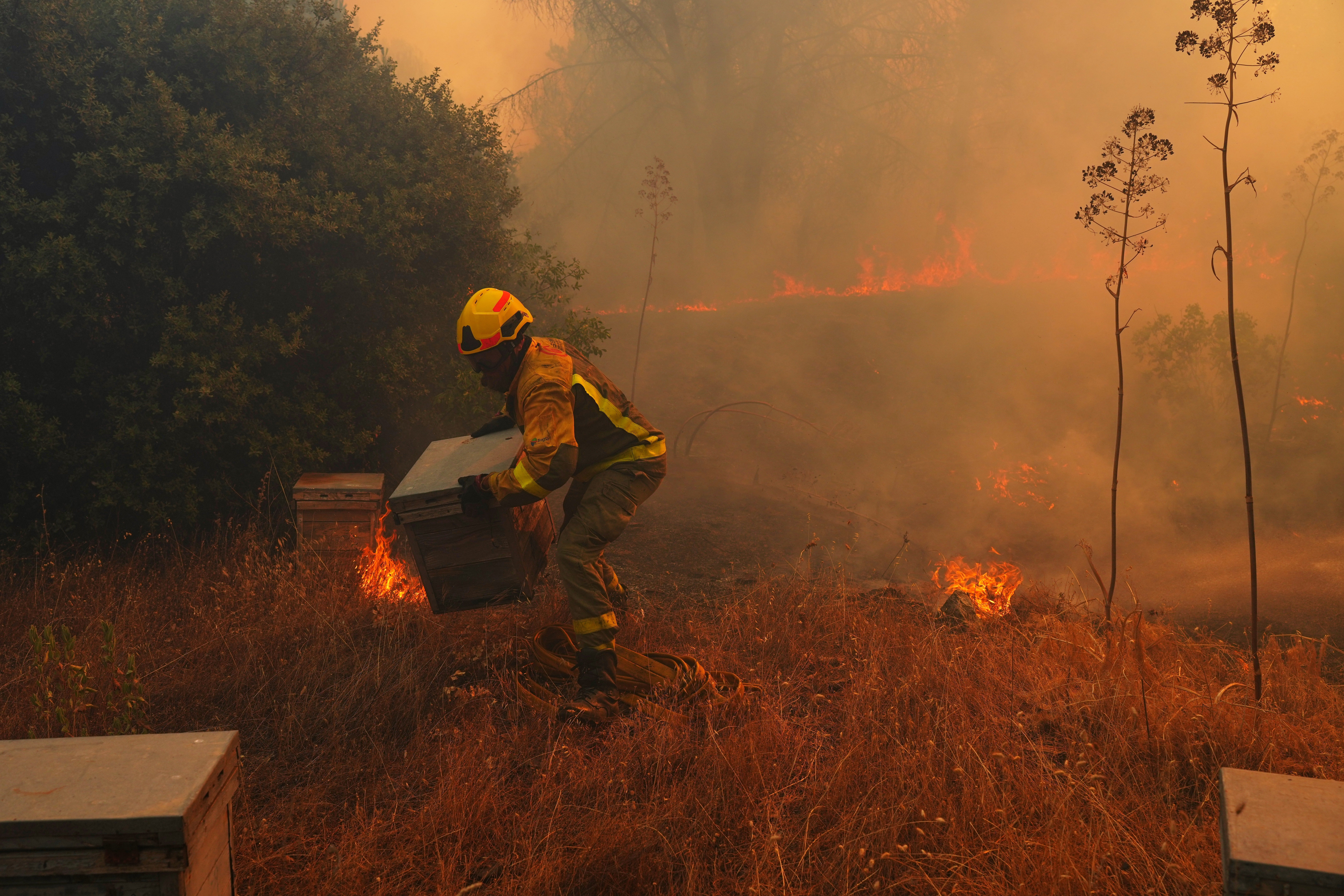 independent.co.uk - Seth Borenstein - UN, scientists warn that strong El Nino will add fuel to 'a planet already on fire
