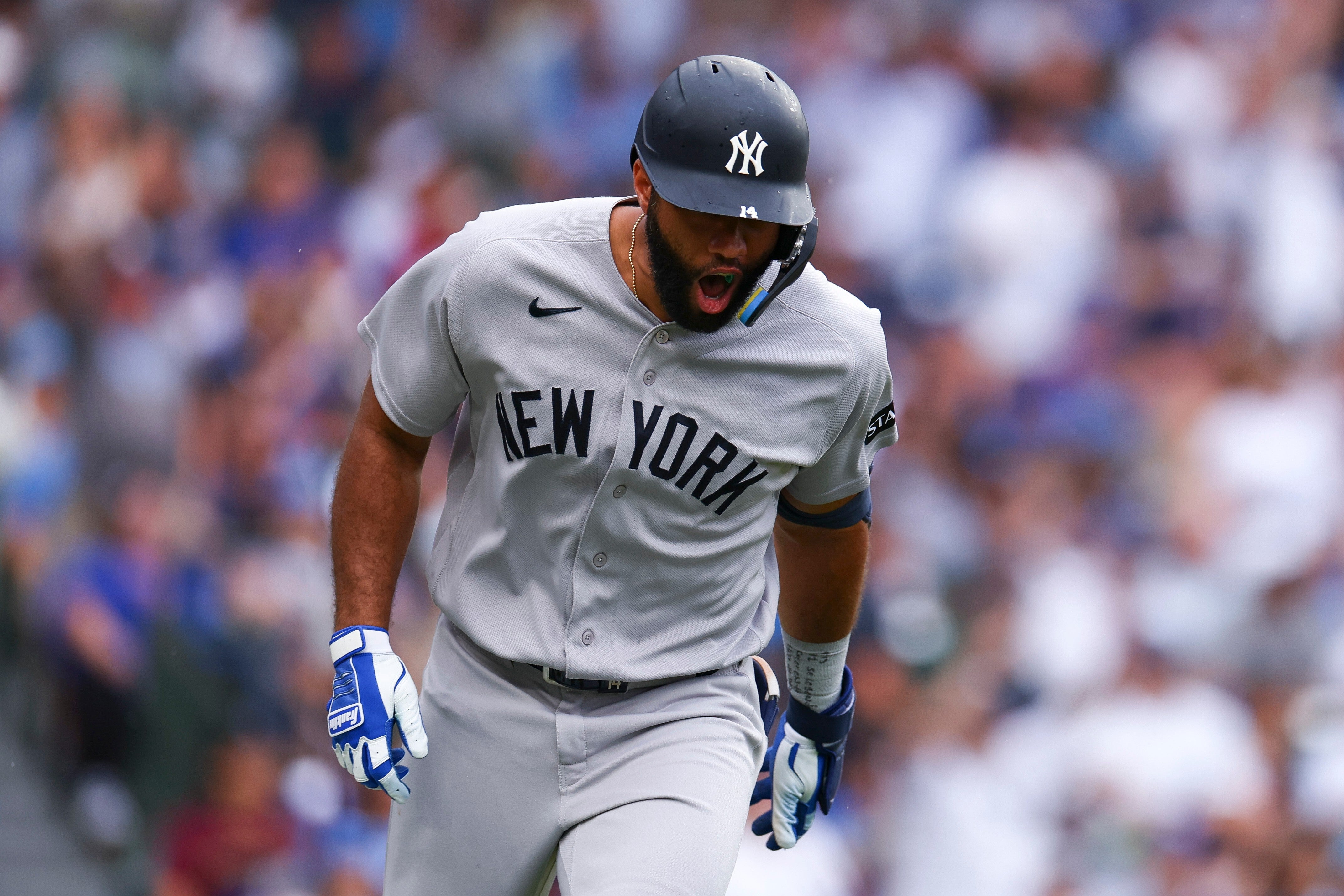 YANKEES CACHORROS