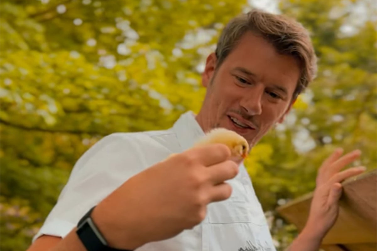 Chef criticises ‘evil’ pub guests whose dogs ‘attacked chickens’ as children wrecked coop