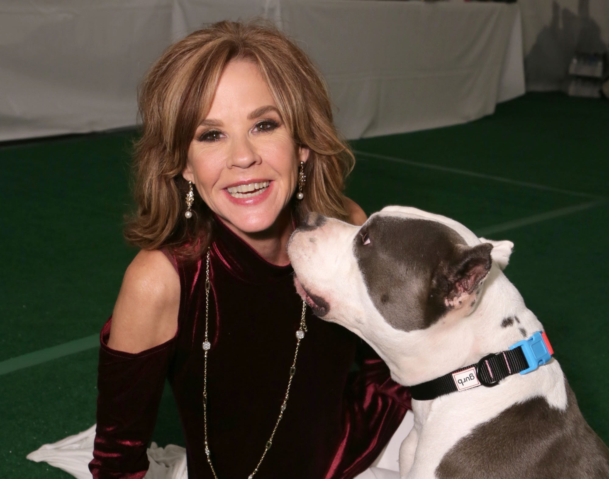 Exorcist star&rsquo;s home searched in &lsquo;kennel operation&rsquo; housing &lsquo;more than 100 dogs&rsquo;