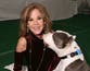 Exorcist star’s home searched in ‘kennel operation’ housing ‘more than 100 dogs’