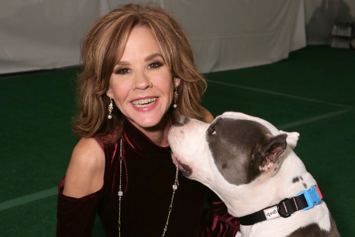 Exorcist star’s home searched in ‘kennel operation’ housing ‘more than 100 dogs’ Exorcist star’s home searched in ‘kennel operation’ housing ‘more than 100 dogs’