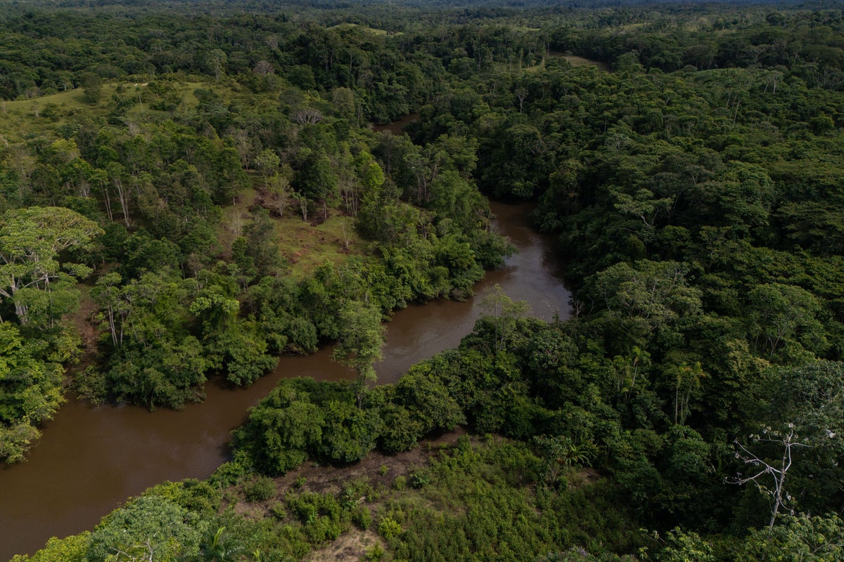 Colombia reports slight rise in deforestation as Amazon forest loss stays stable