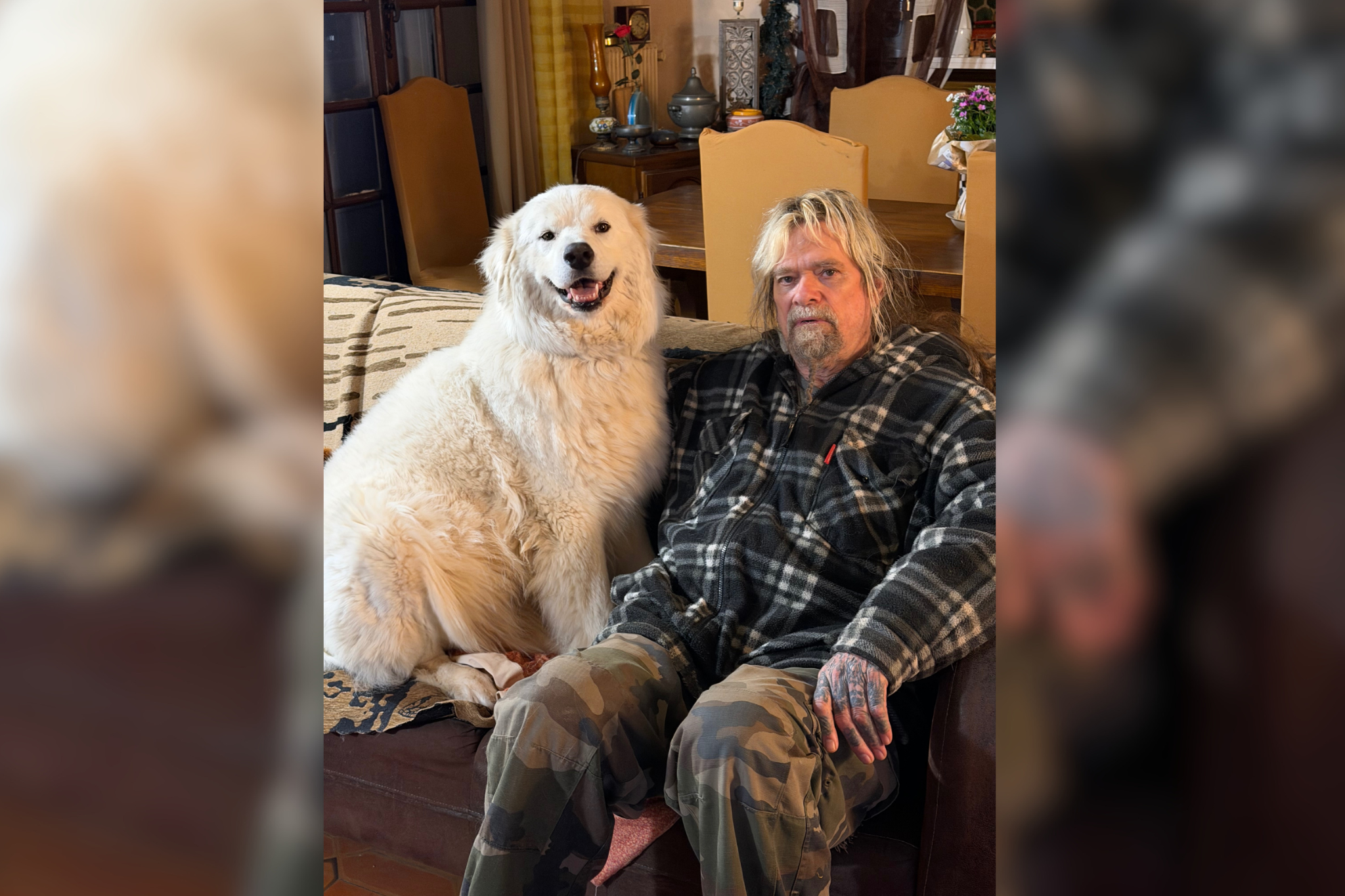 Chris Holmes is undergoing chemotherapy to treat prostate cancer