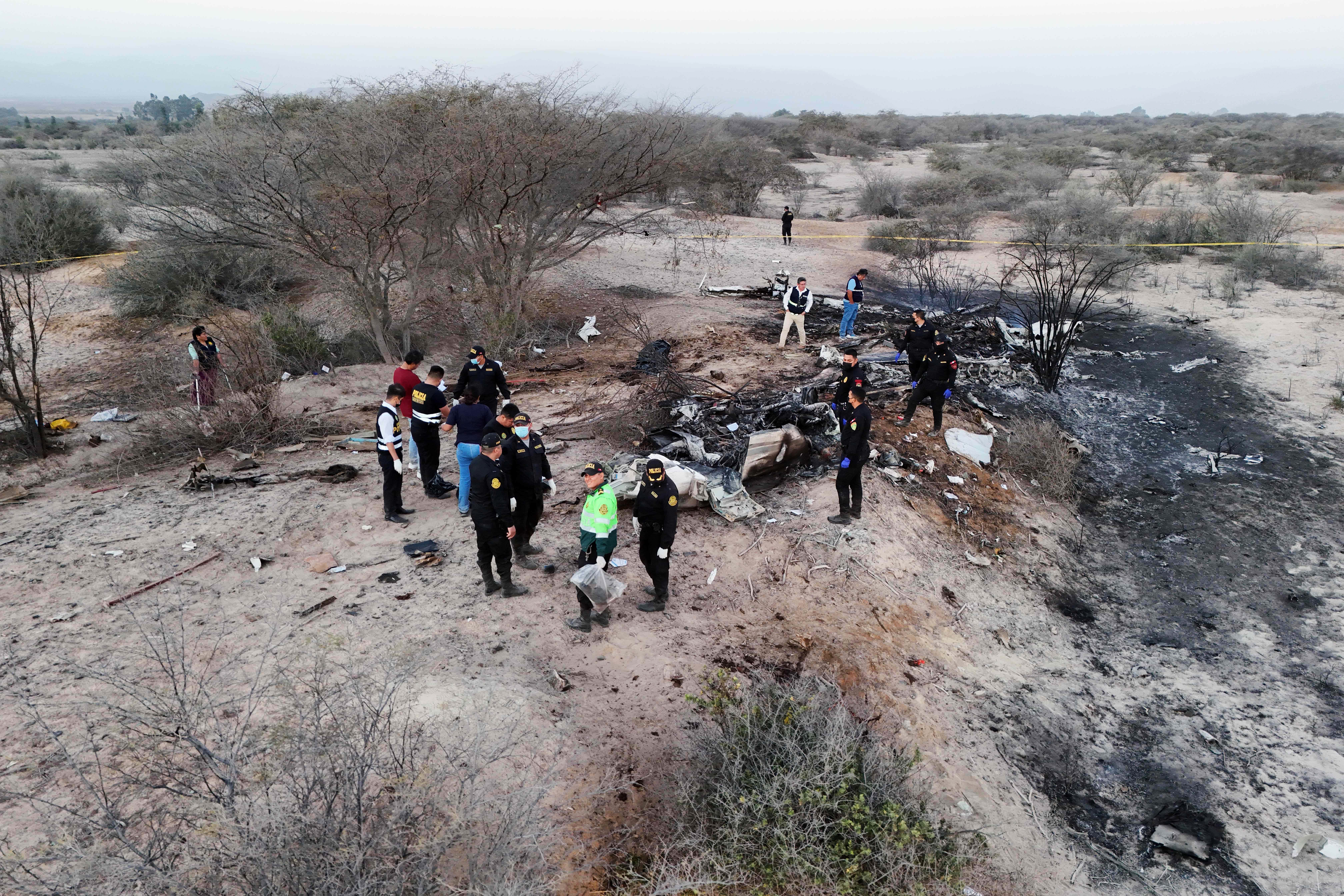 At least 13 people died after a plane carrying foreign tourists crashed near Peru's Nazca Lines; Ministry of Transport confirms