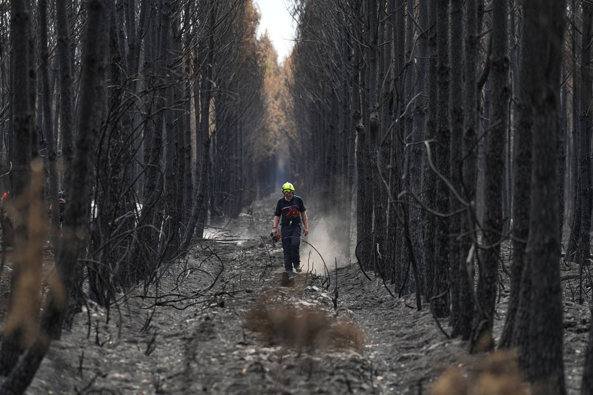 French wildfire near Bordeaux contained as firefighters manage separate blaze in Provence