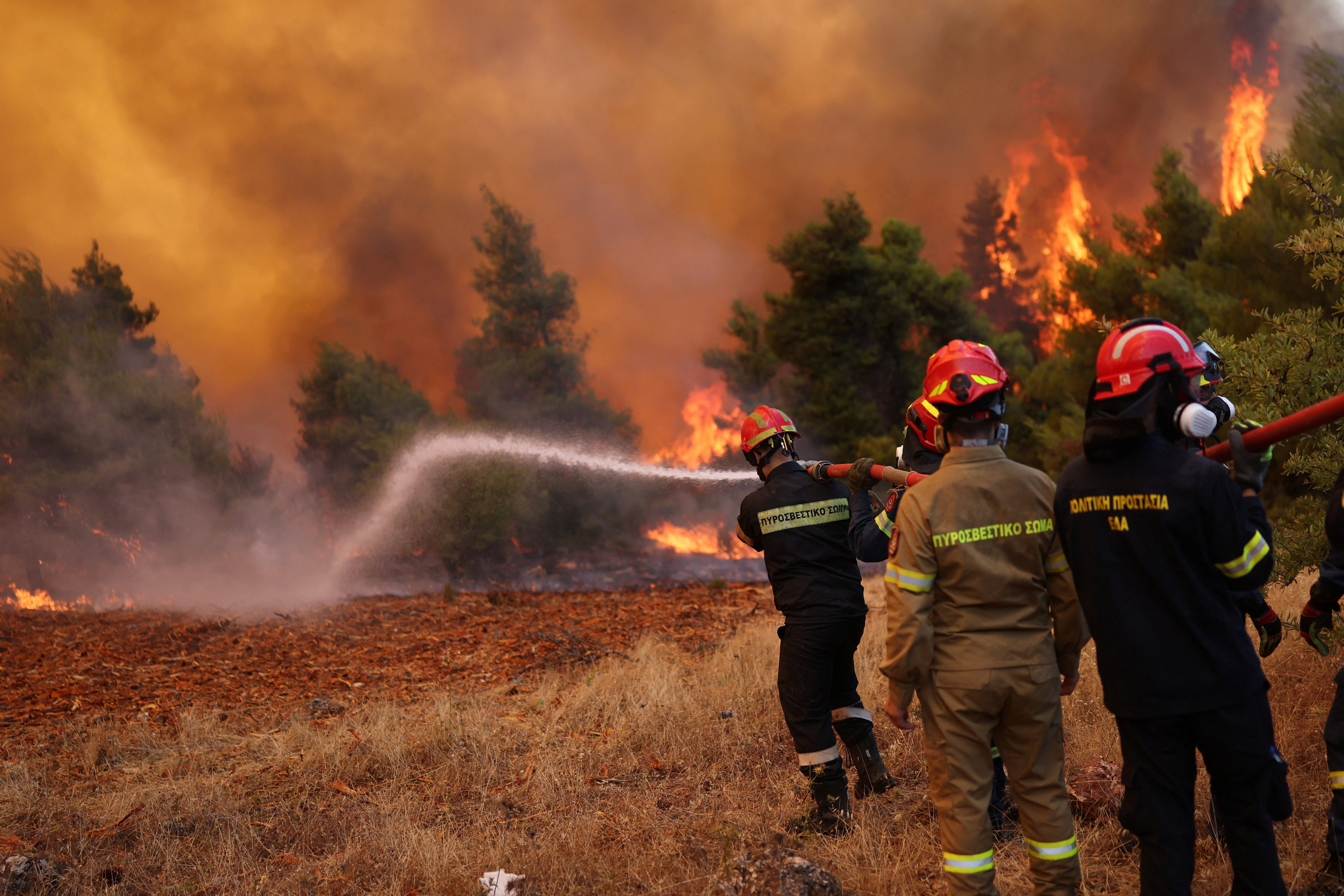 Firefighters battle a wildfire near the village Agia Paraskevi