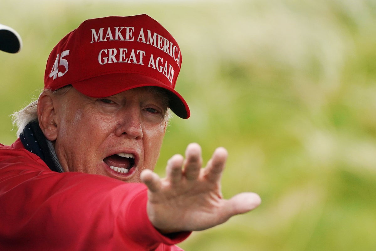 Protected snail delays Trump's Ireland ballroom construction