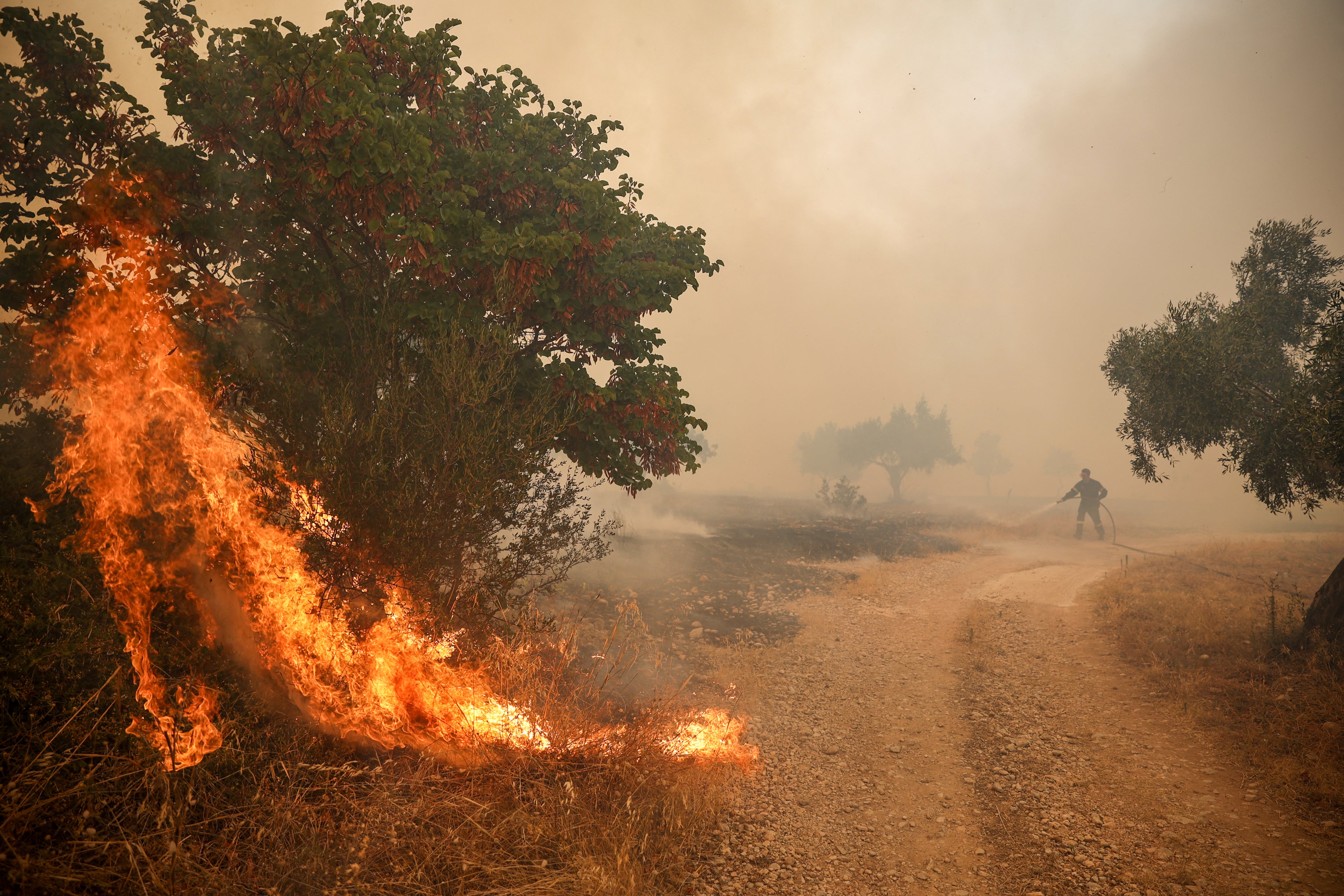 Firefighters try to extinguish a wildfire in Loumpa village (AFP/Getty)