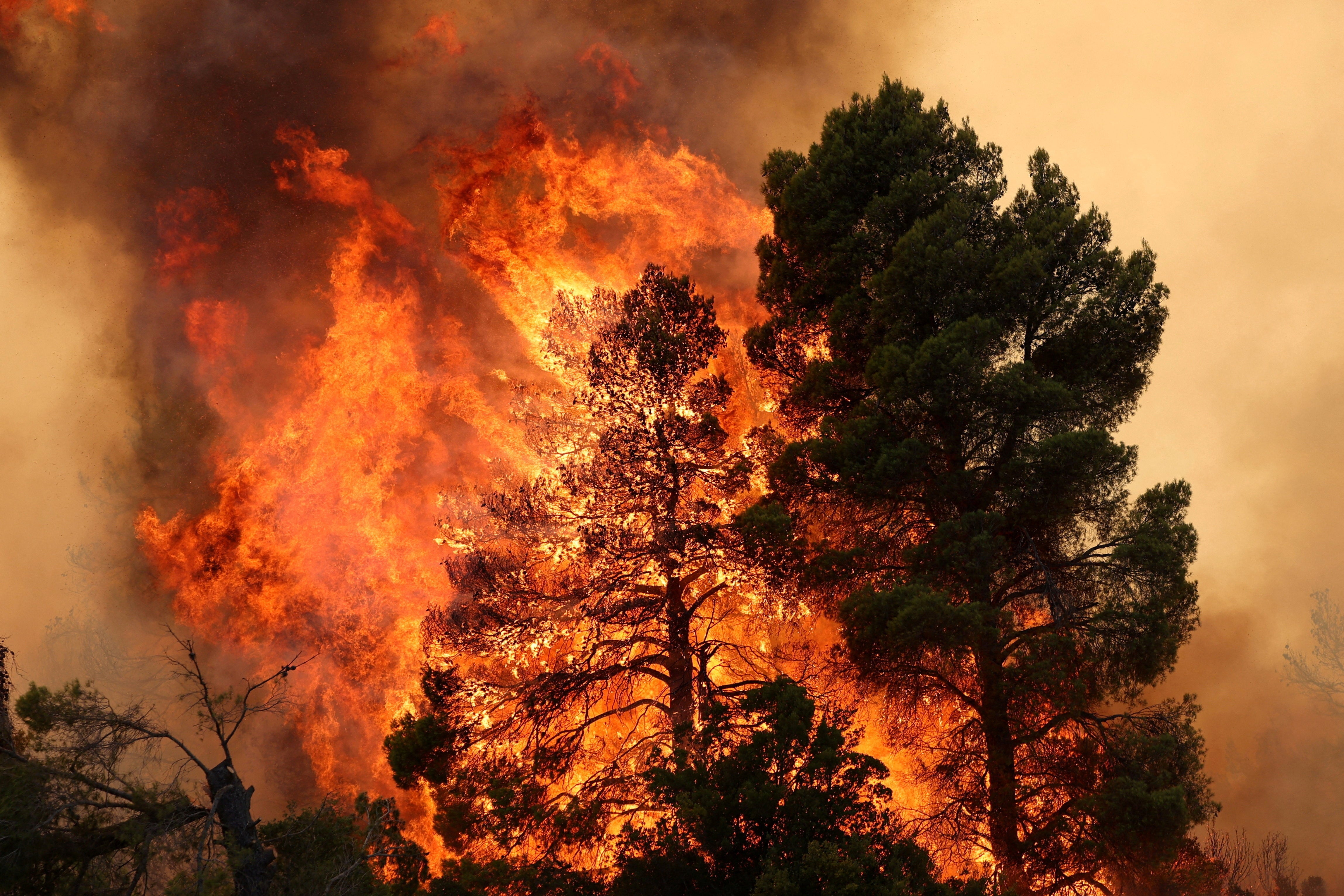 The Greek president, prime minister, and EU Commission president all paid tribute to the firefighters that lost their lives