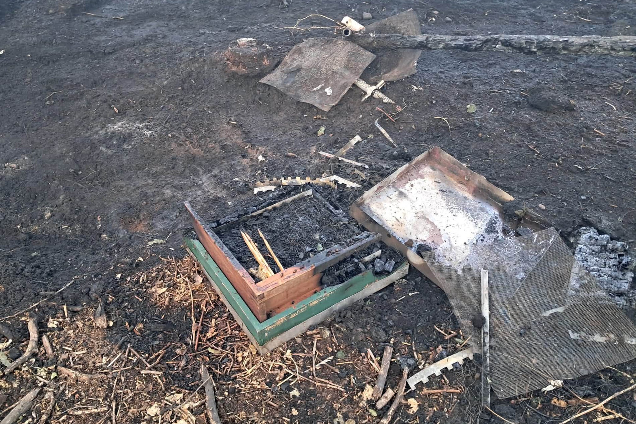 Suspected arson attack kills 200,000 bees as hives torched in Birstall