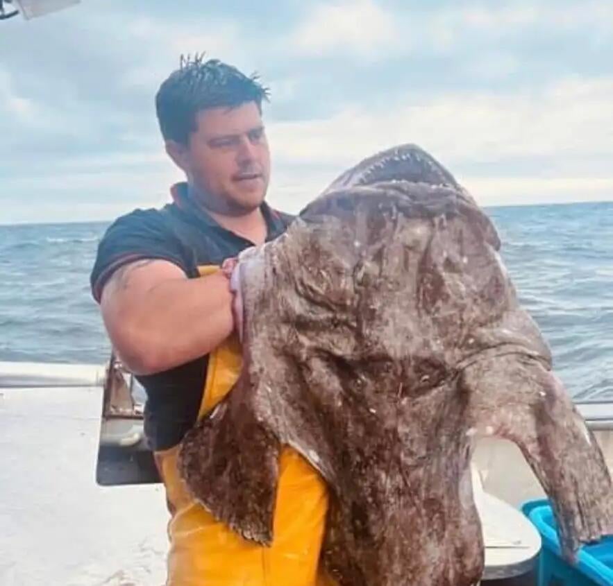 Mr Gilbert, a commercial fisherman, was heading out on his boat when he witnessed the astonishing sight