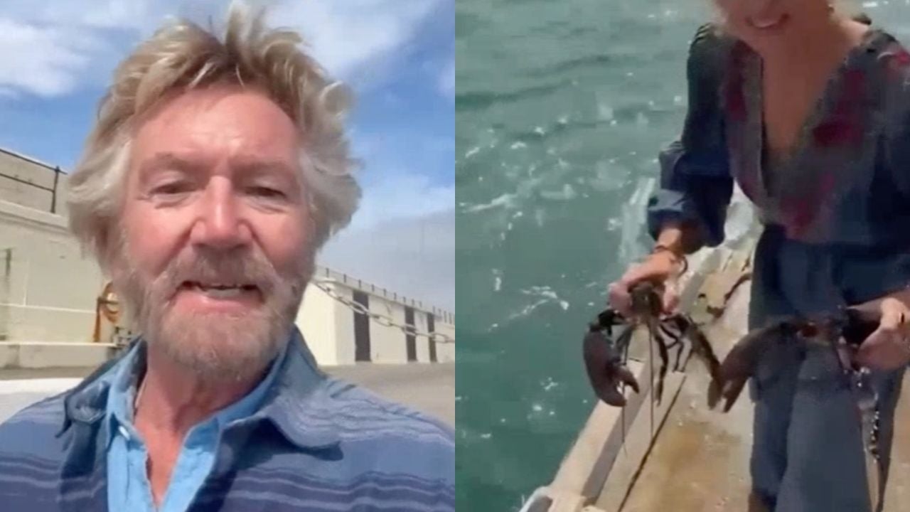 Lobstergate: Noel Edmonds and wife spark backlash after buying live lobsters from shop and releasing them into Irish sea