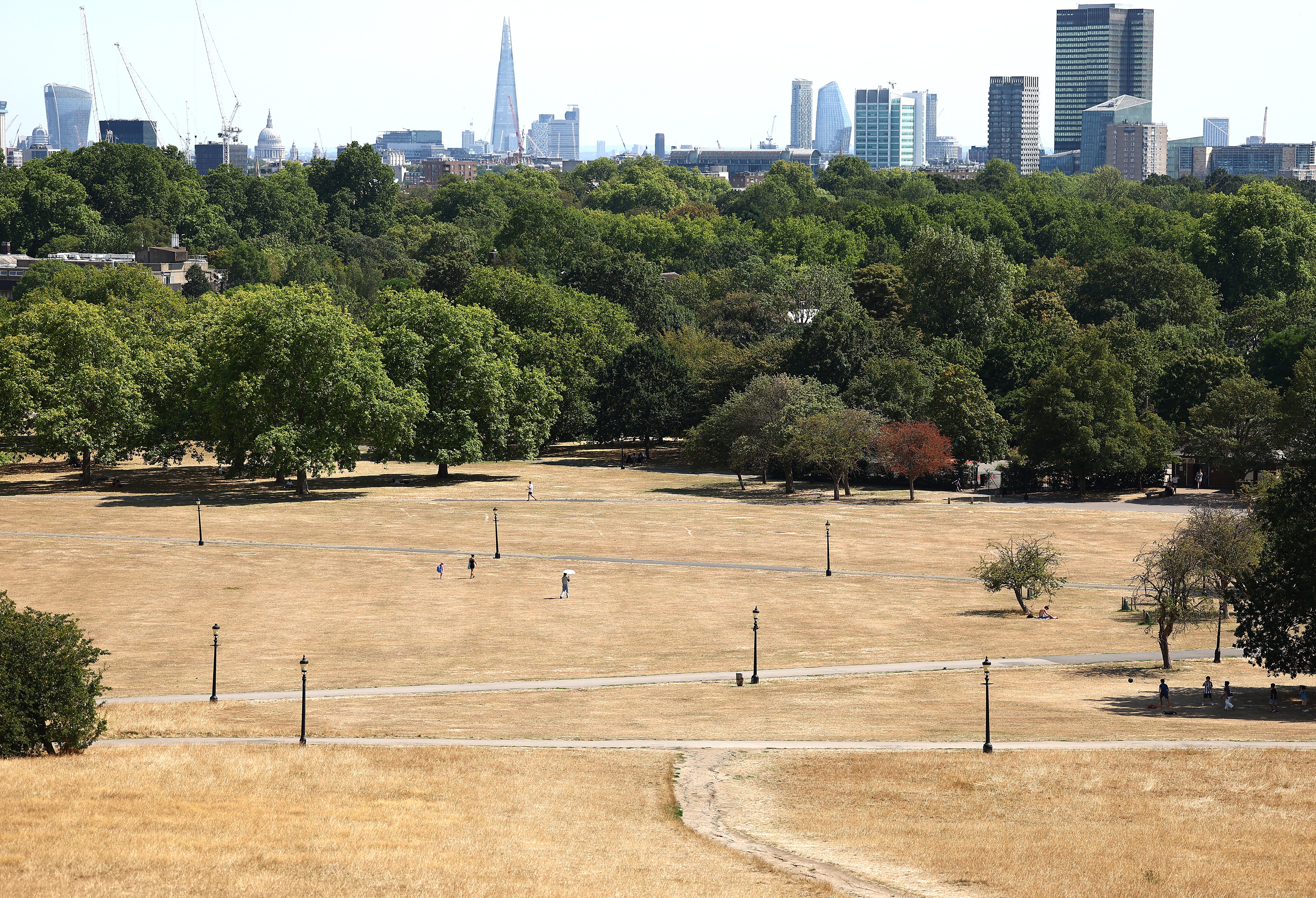 Primrose Hill is a well-placed vantage point (Getty)