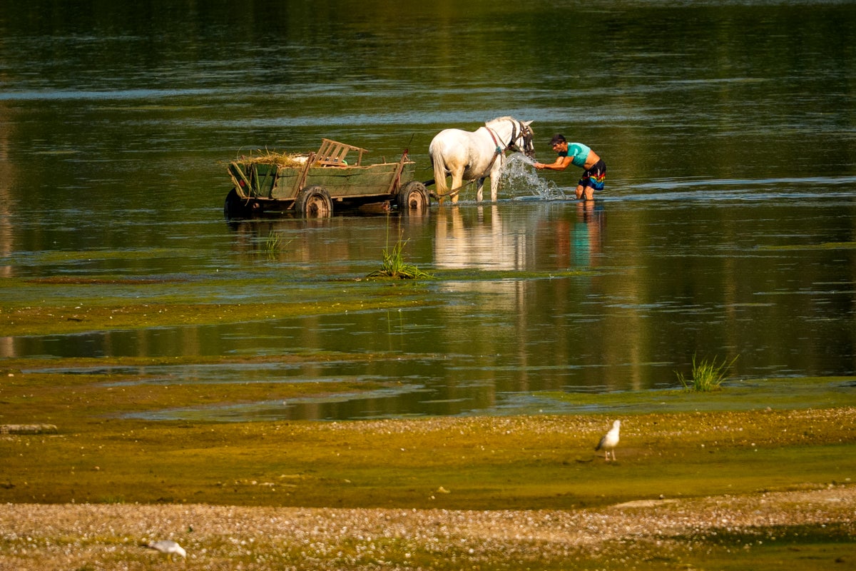 Central Europe swelters and Slovakia and Austria hit their record high temperatures Central Europe swelters and Slovakia and Austria hit their record high temperatures