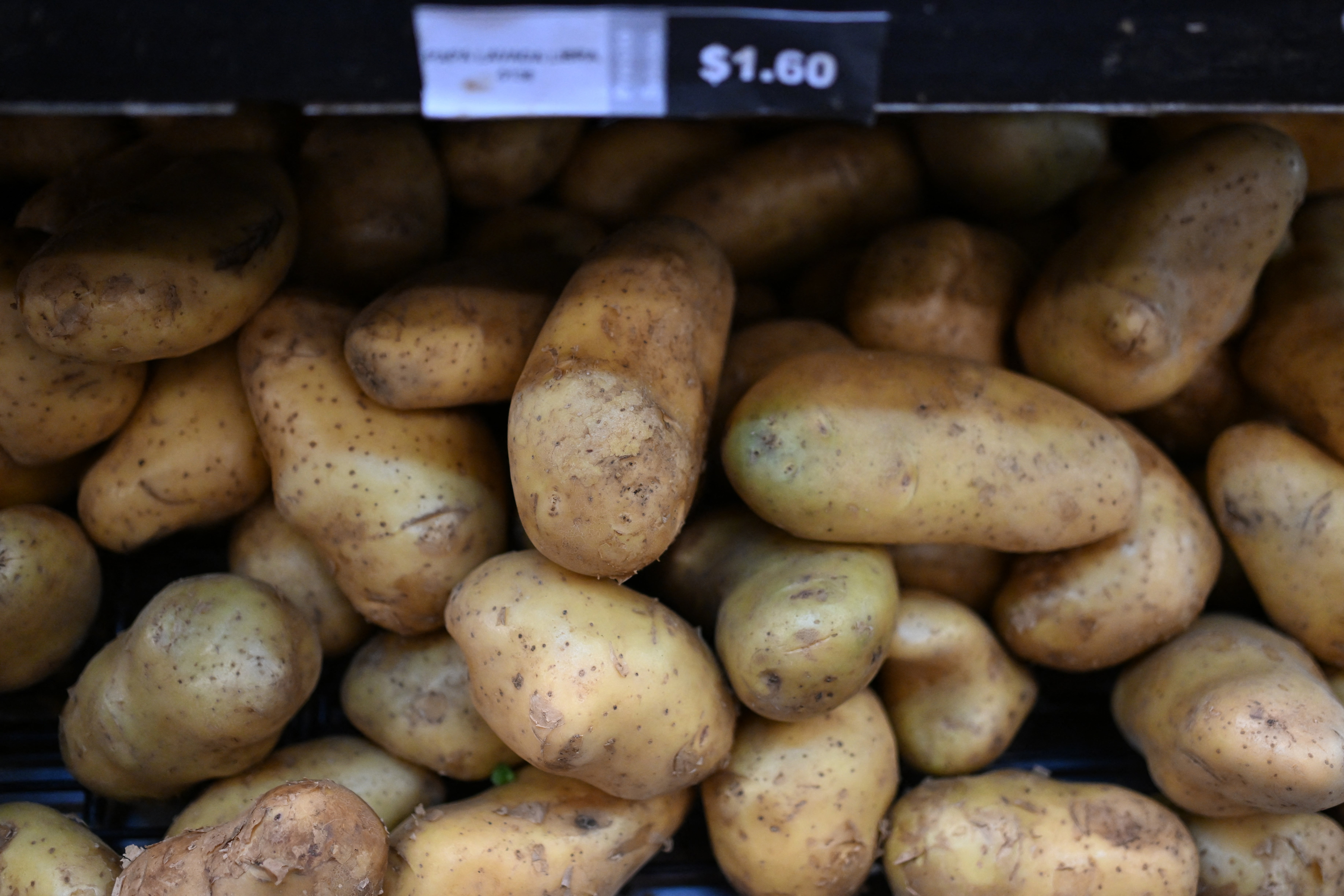 Britain’s Christmas potato crop could be affected by the hot and dry weather