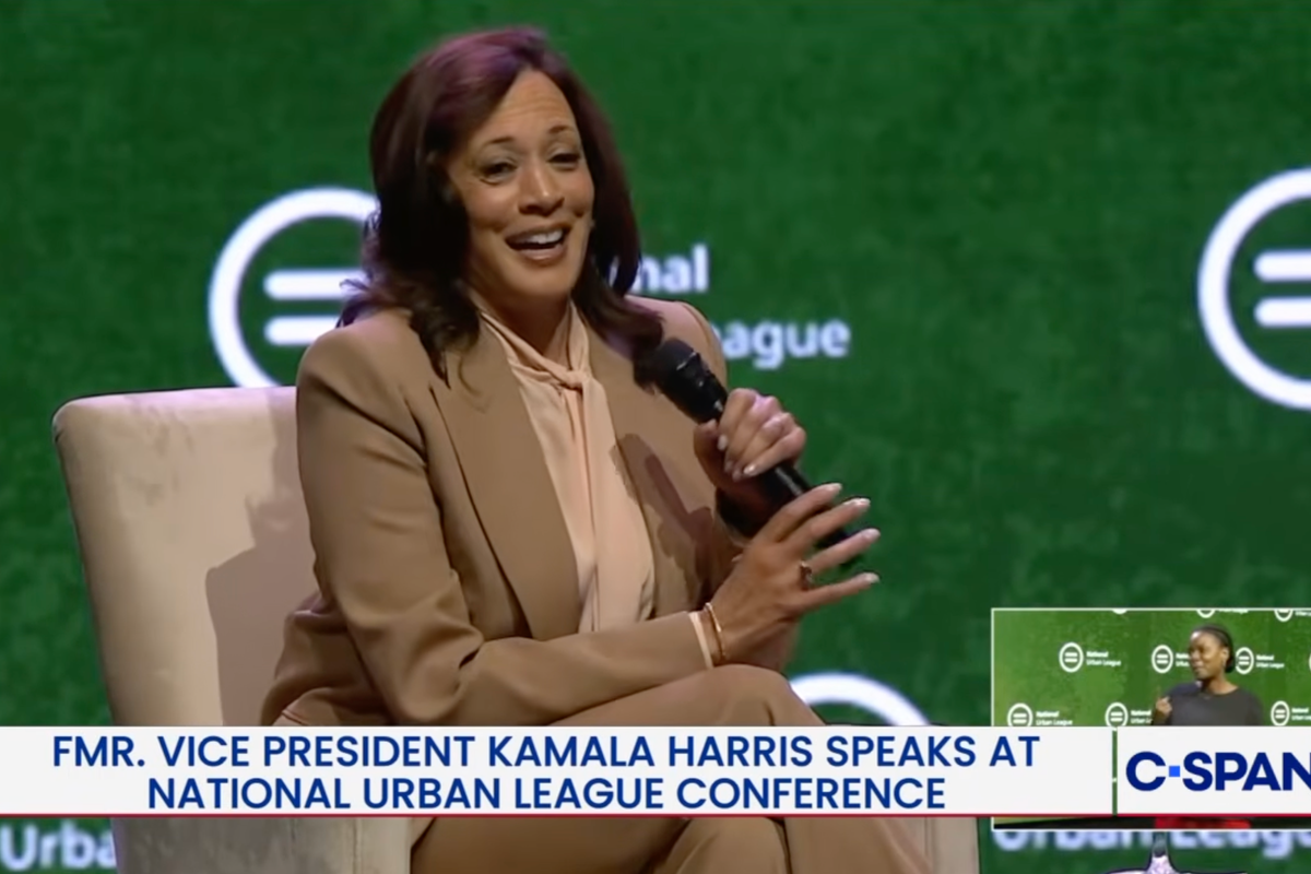 Kamala Harris, bir başka Beyaz Saray seçimini düşünürken ABD'ye iki eyalet ekleme ve Yüksek Mahkeme'yi genişletme konusunda dalga geçiyor