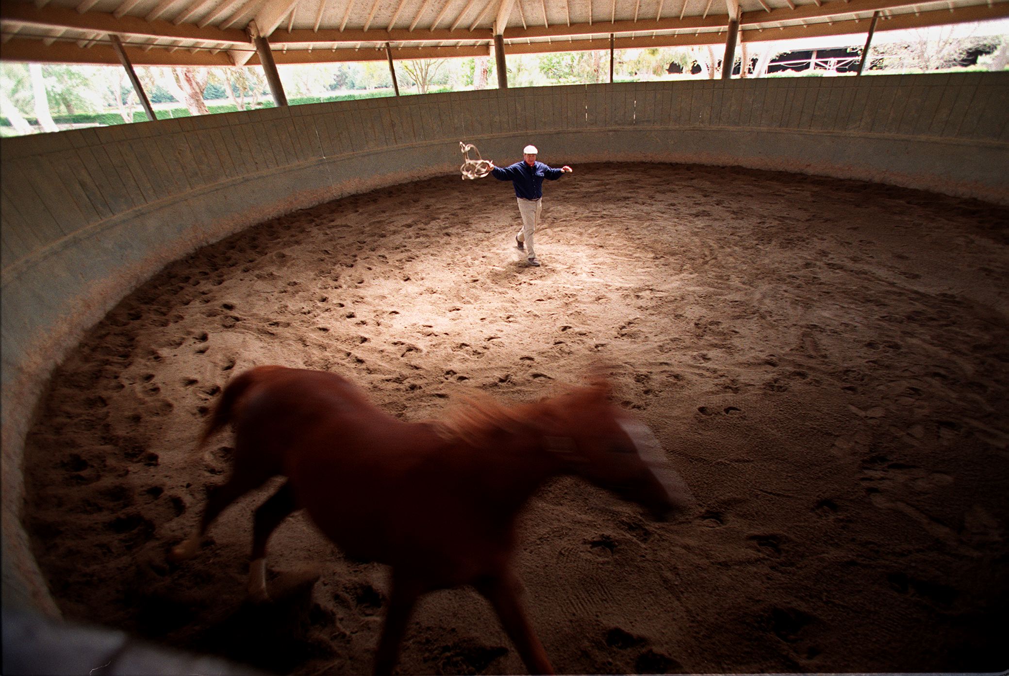 Monty Roberts encourages a horse to run off its fear