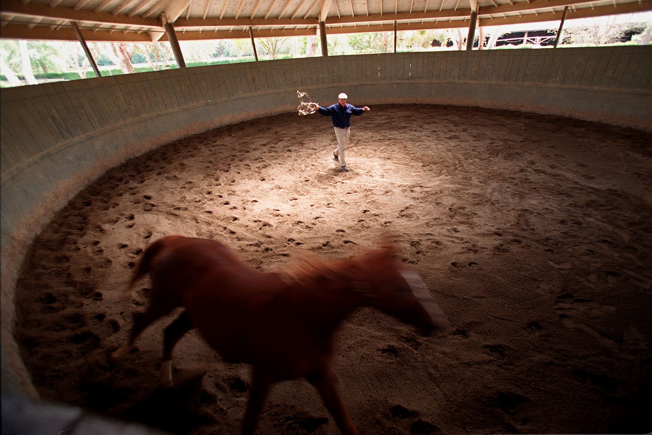 Monty Roberts encourages a horse to run off its fear (AFP/Getty)