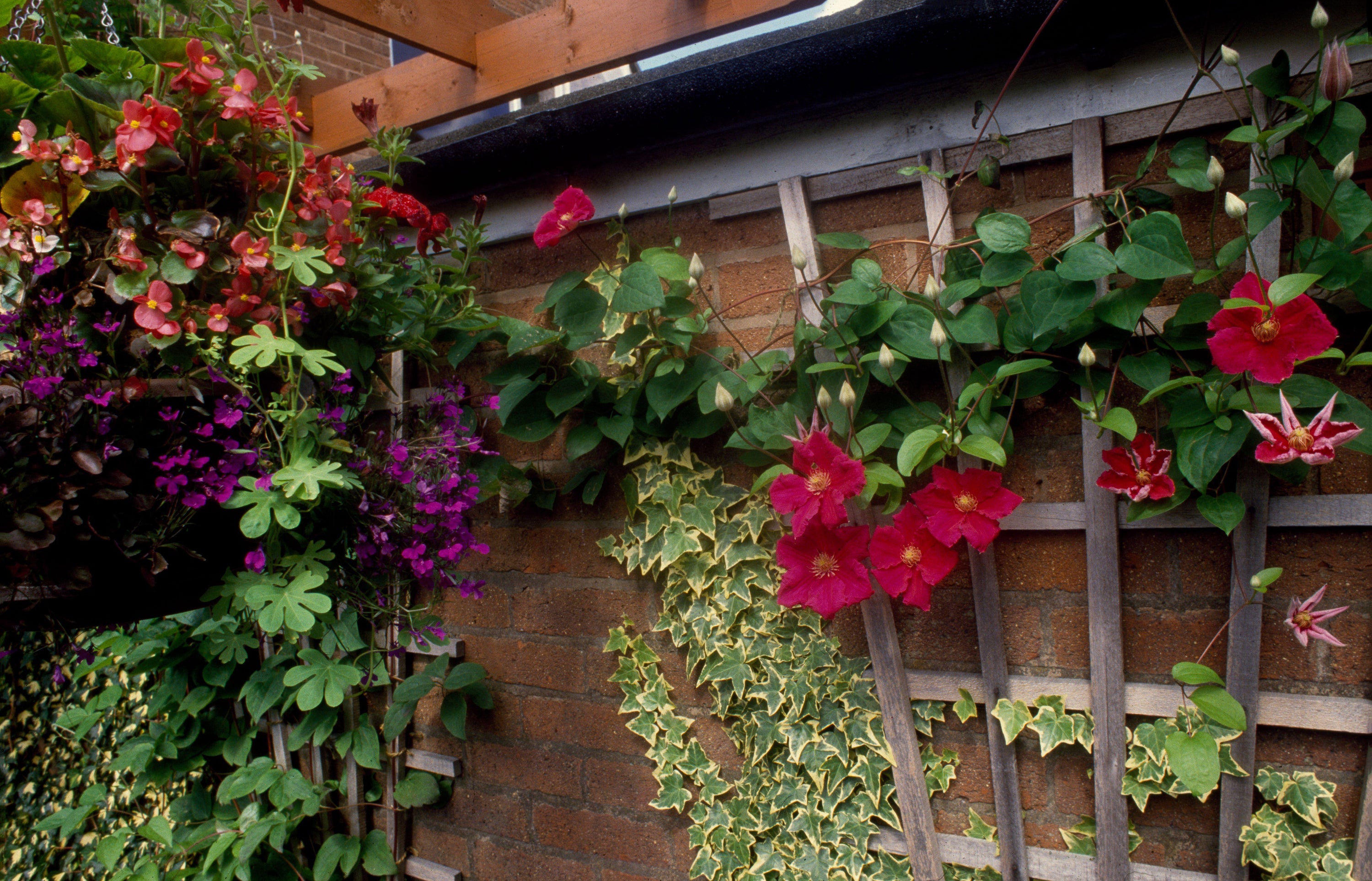 The Ethical Gardener reveals seven ways to help wildlife thrive in your ...