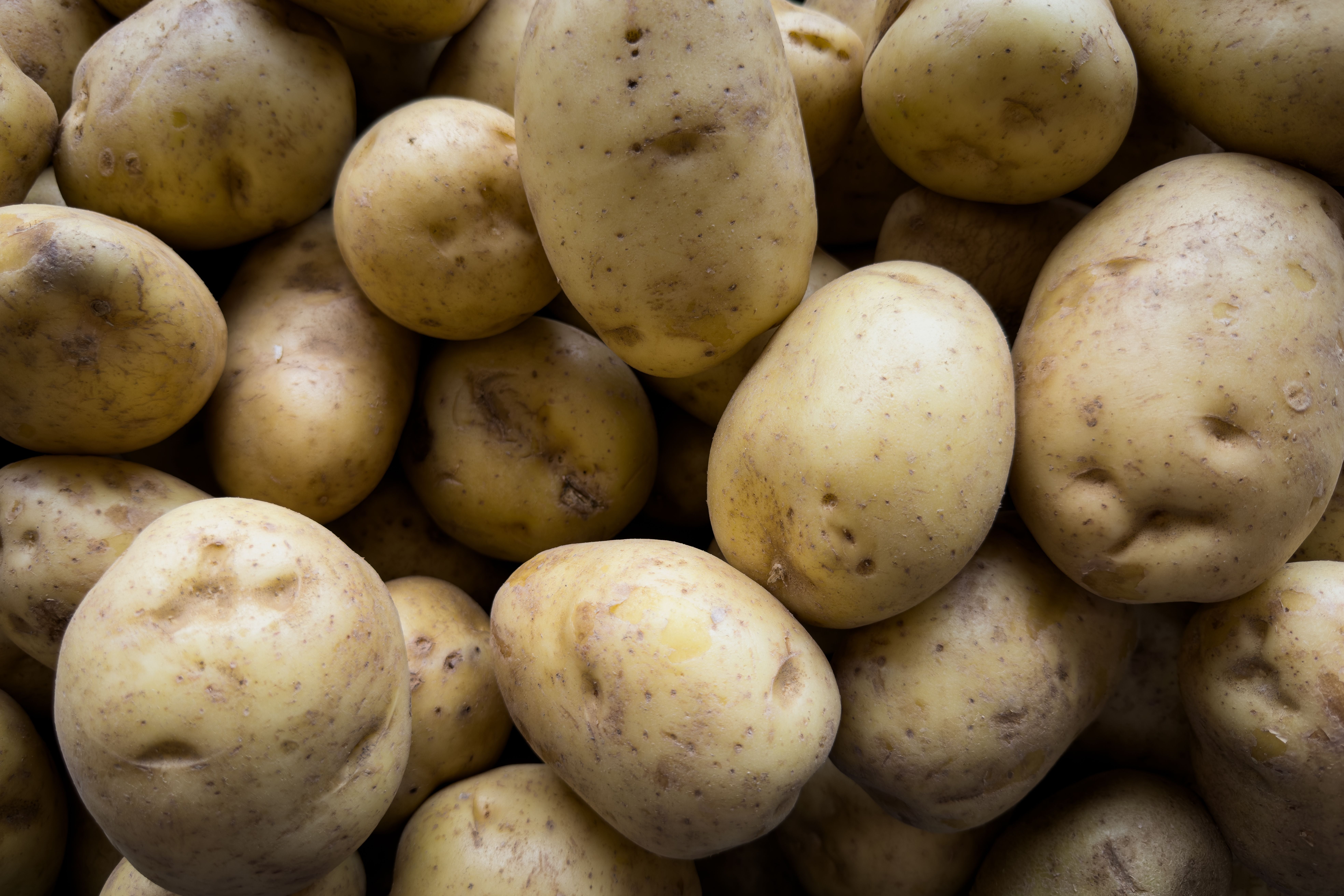 2026 is likely to be one of the five worst harvests on record – four of which have occurred this decade